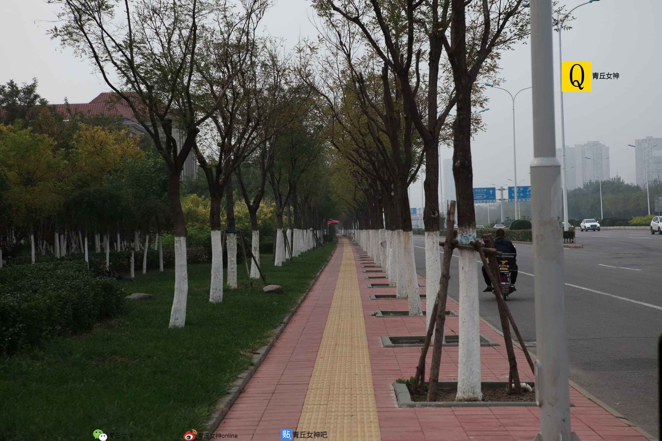 图片[67]-[青丘女神]2017.10.15 小豆 – 速更版-美库