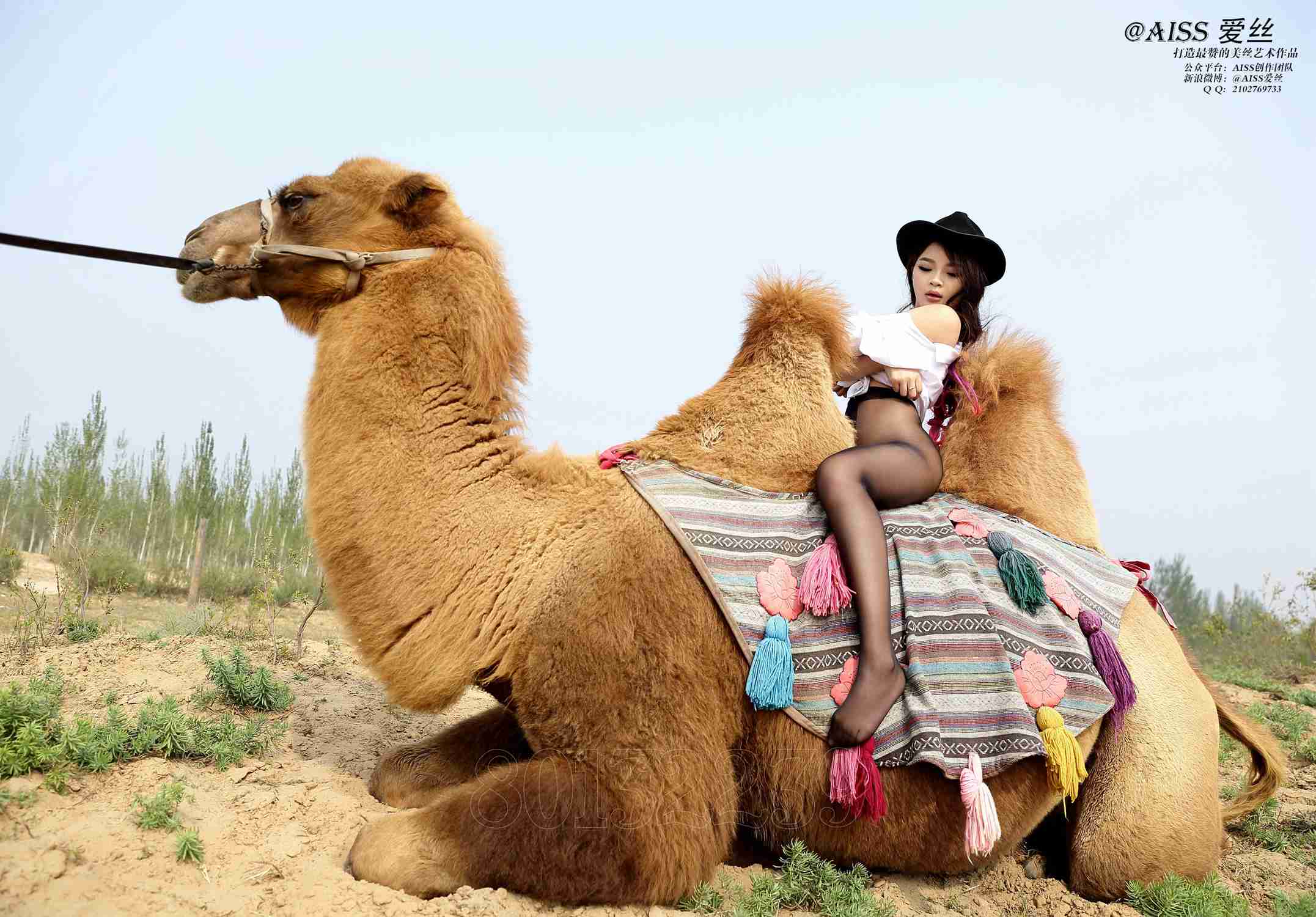 图片[15]-[AISS爱丝]写真 NO.033《丝绸之路》[95P] – 速更版-美库