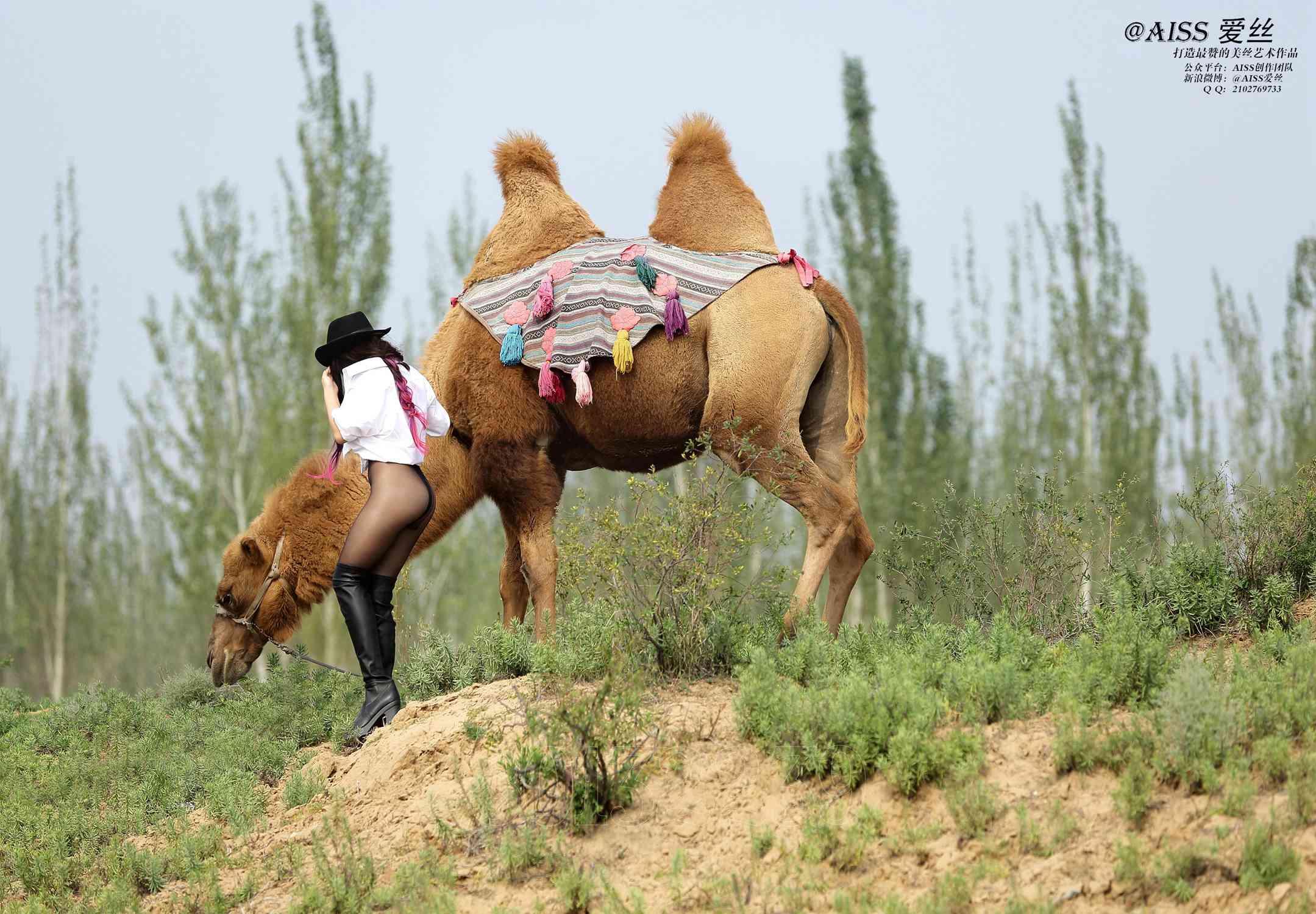 图片[32]-[AISS爱丝]写真 NO.033《丝绸之路》[95P] – 速更版-美库