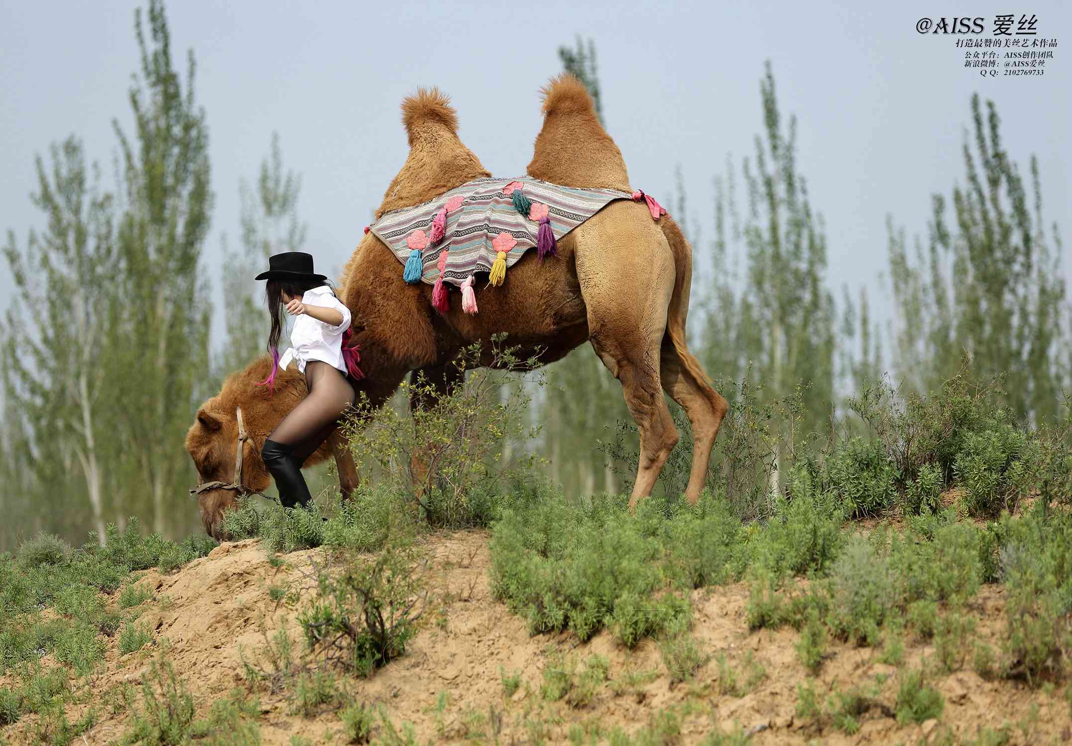 图片[34]-[AISS爱丝]写真 NO.033《丝绸之路》[95P] – 速更版-美库