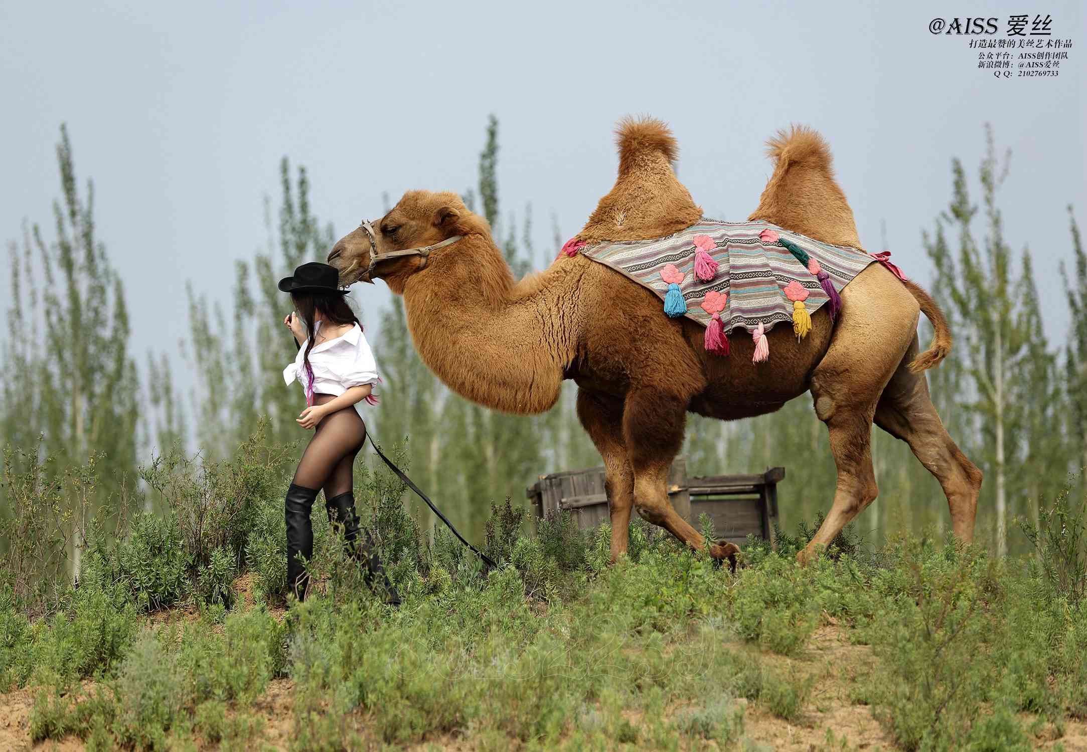 图片[36]-[AISS爱丝]写真 NO.033《丝绸之路》[95P] – 速更版-美库