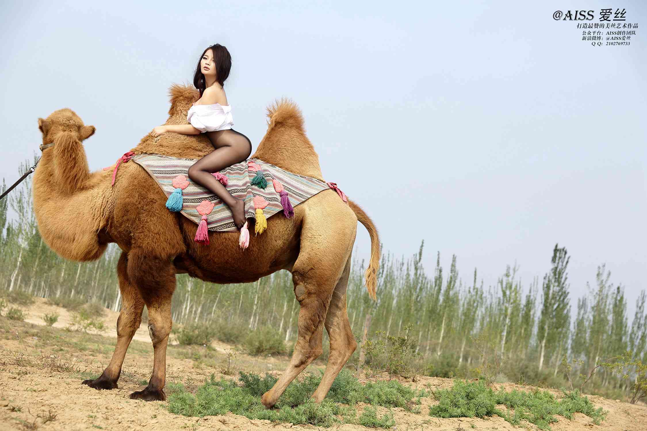 图片[90]-[AISS爱丝]写真 NO.033《丝绸之路》[95P] – 速更版-美库