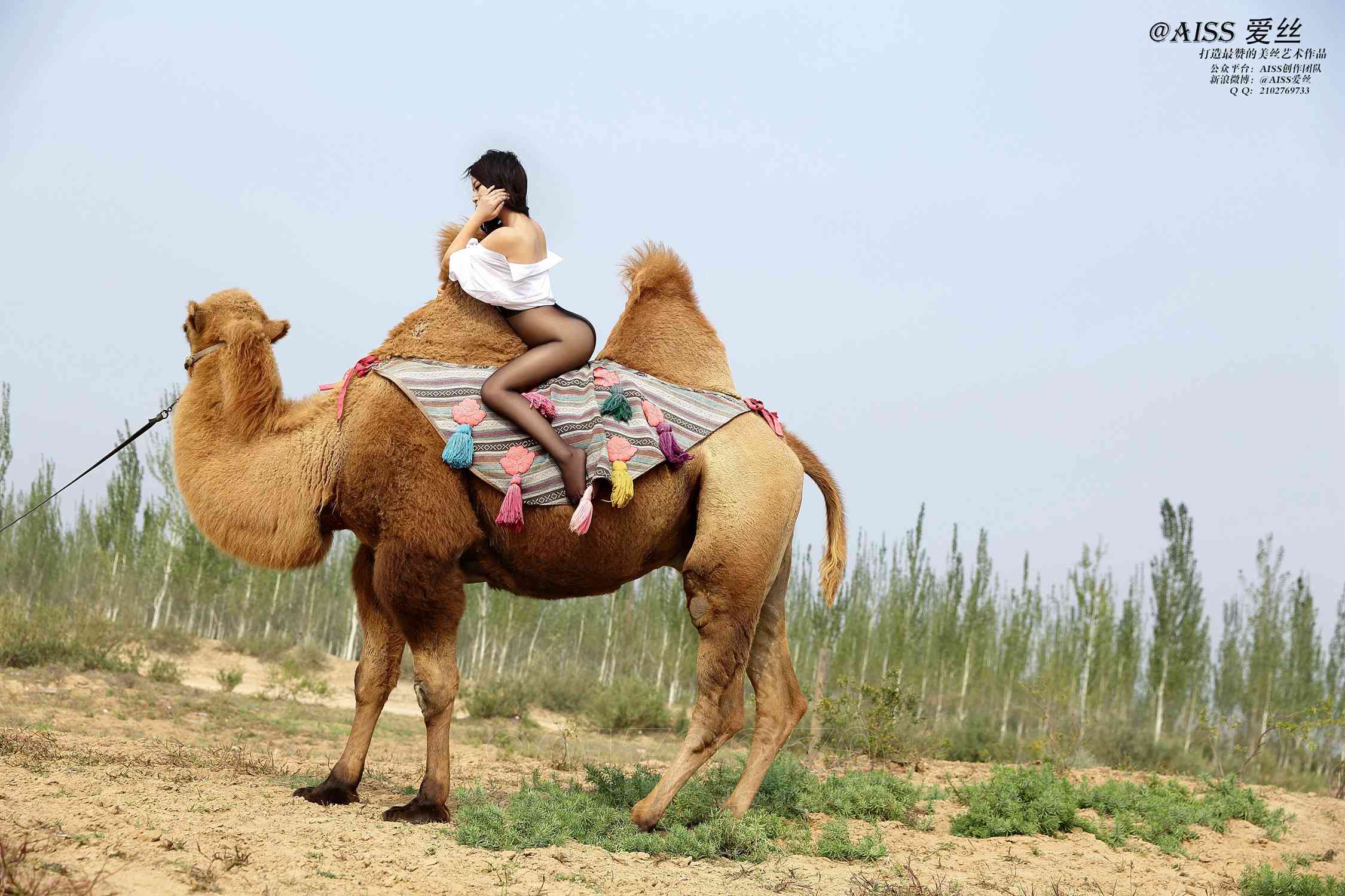 图片[92]-[AISS爱丝]写真 NO.033《丝绸之路》[95P] – 速更版-美库