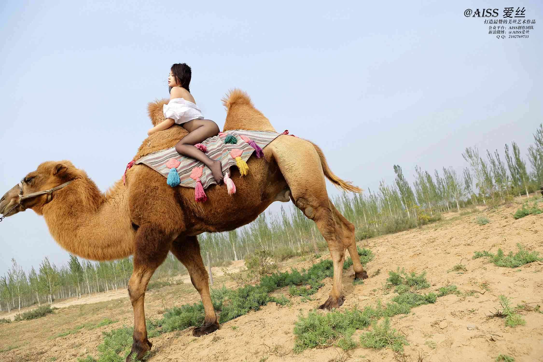 图片[95]-[AISS爱丝]写真 NO.033《丝绸之路》[95P] – 速更版-美库