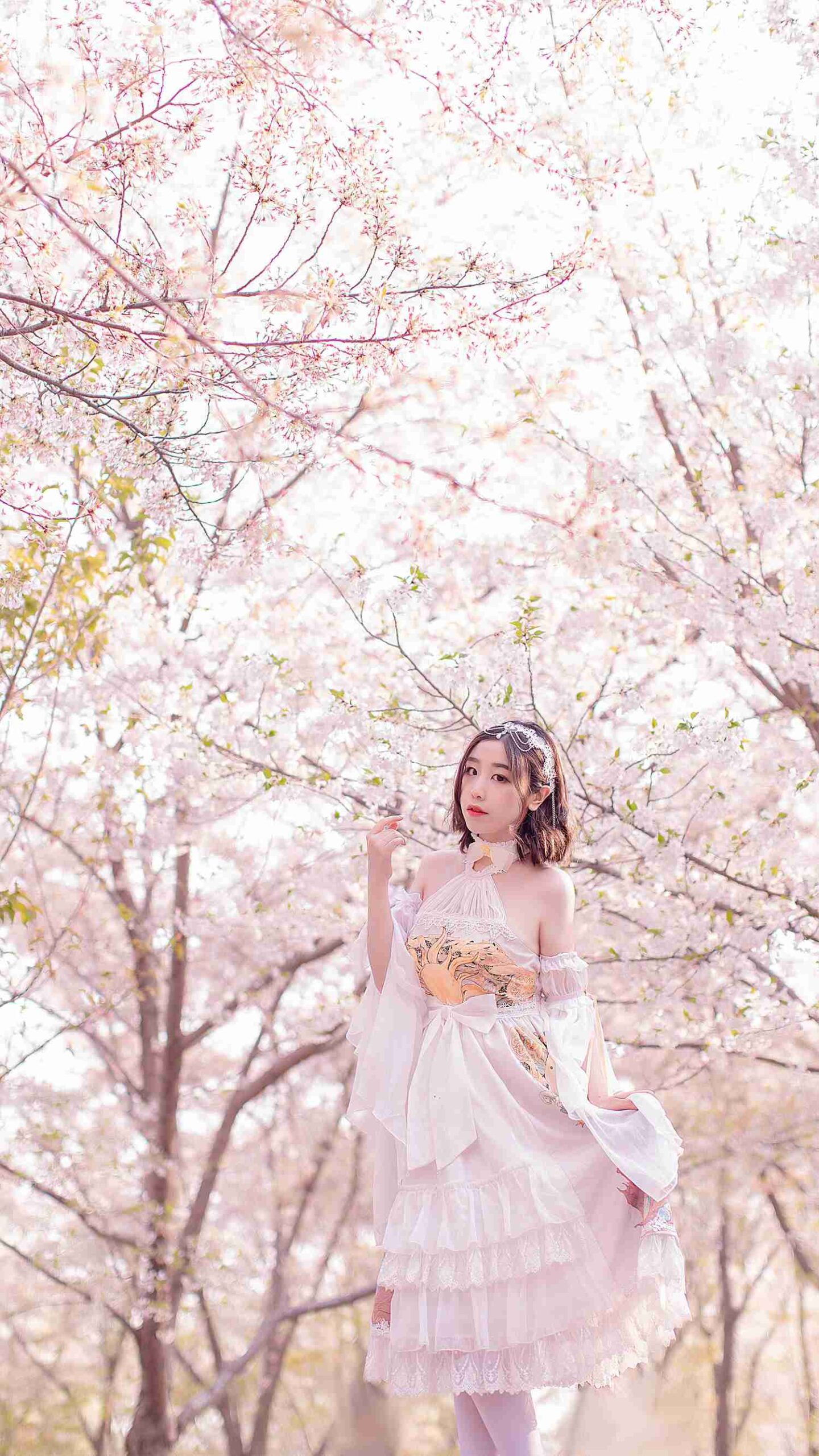 图片[12]-穆零Mu0 – 樱花盛开的季节 – 速更版-美库