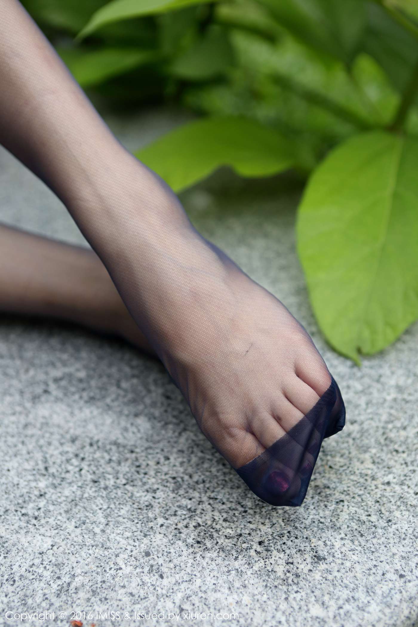 图片[110]-[IMiss爱蜜社] 2016.06.14 Vol.098 Winki丝姬 [165+1P] – 速更版-美库