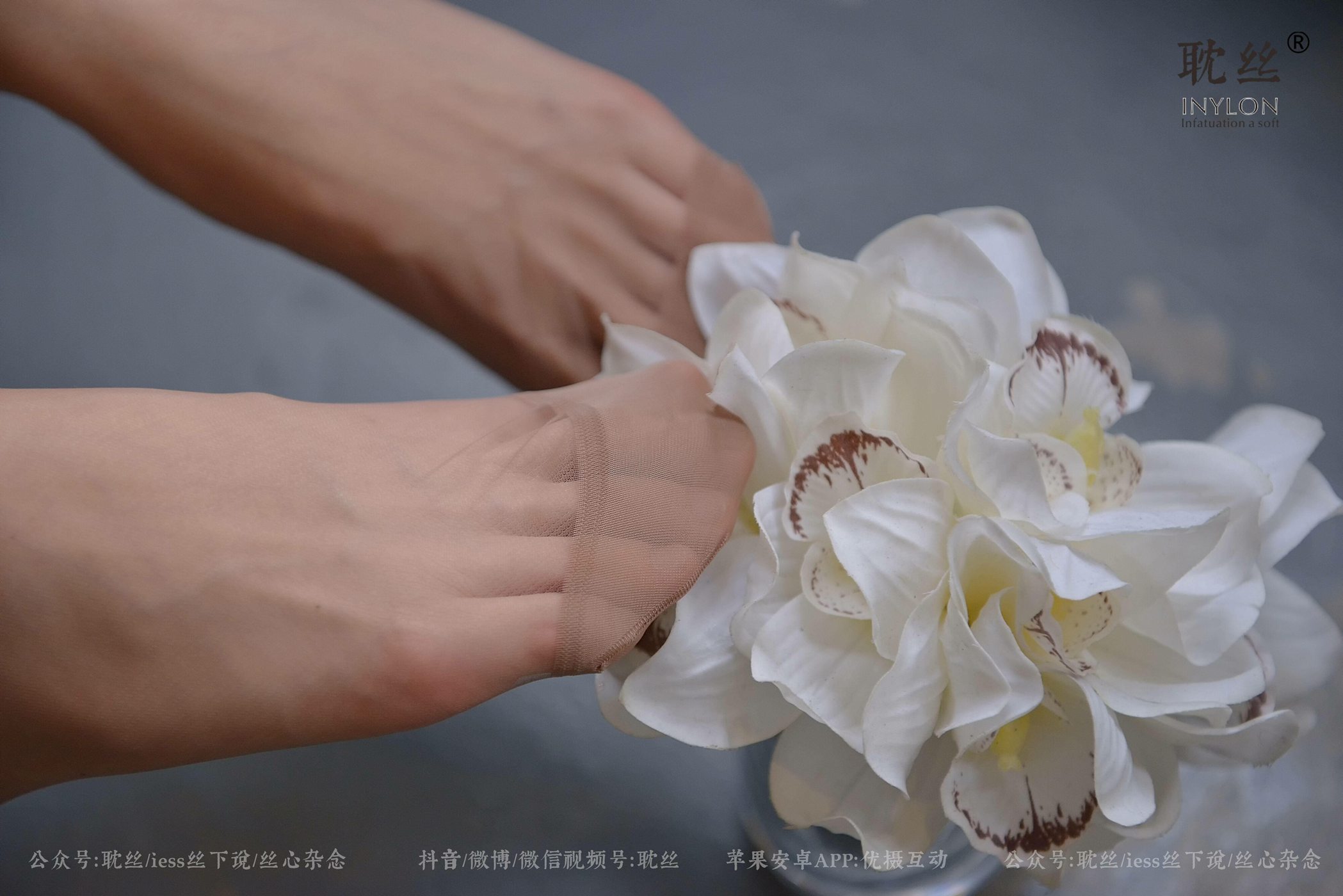 图片[87]-[IESS异思趣向] 耽丝 优雅的本色 [97P] – 速更版-美库