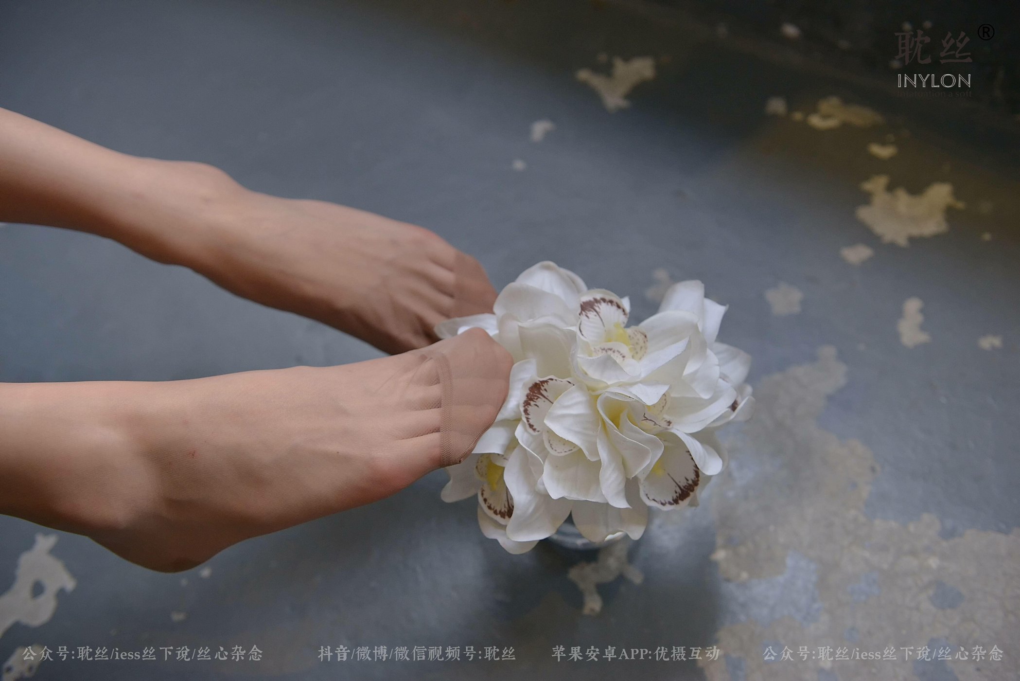 图片[88]-[IESS异思趣向] 耽丝 优雅的本色 [97P] – 速更版-美库