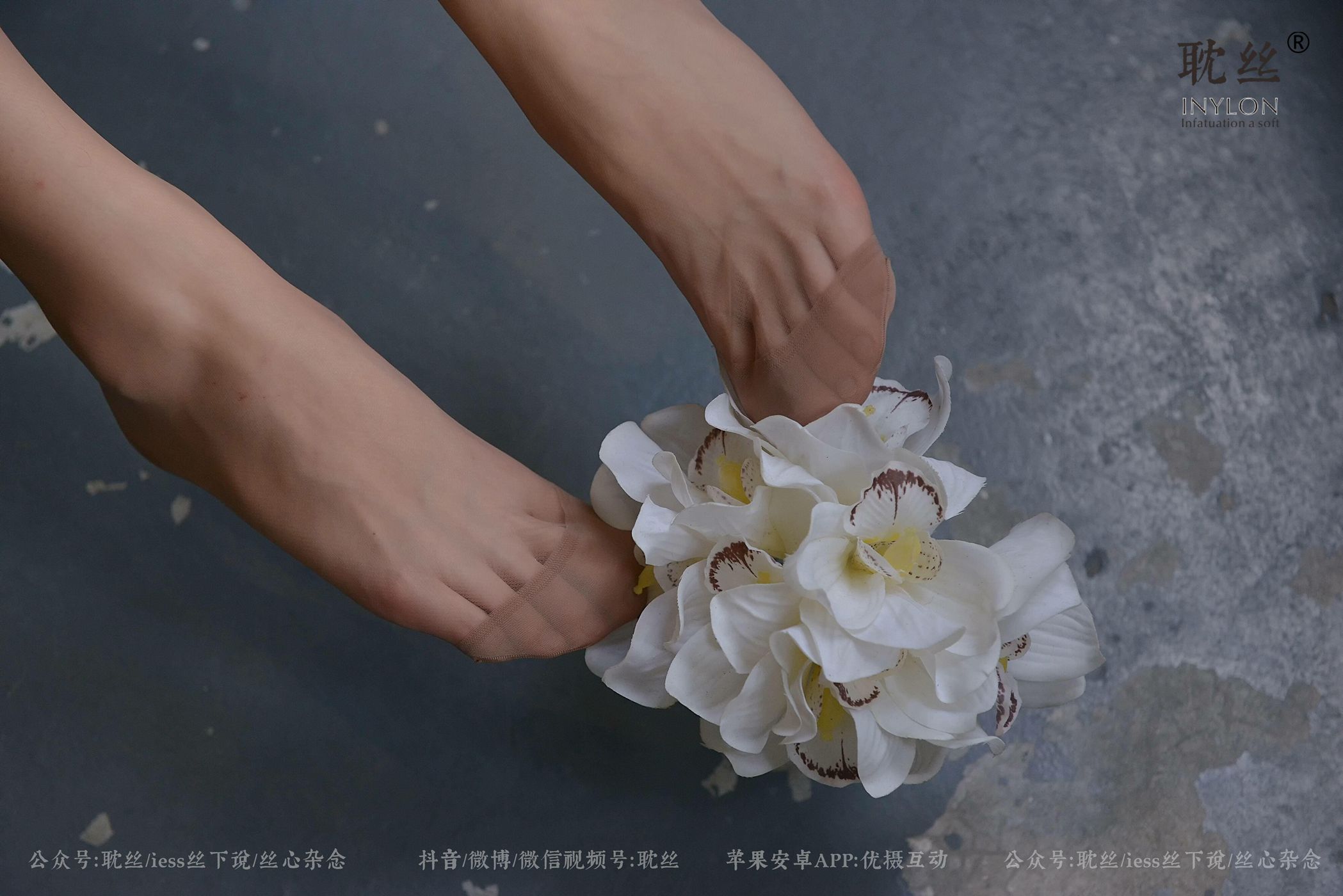 图片[89]-[IESS异思趣向] 耽丝 优雅的本色 [97P] – 速更版-美库