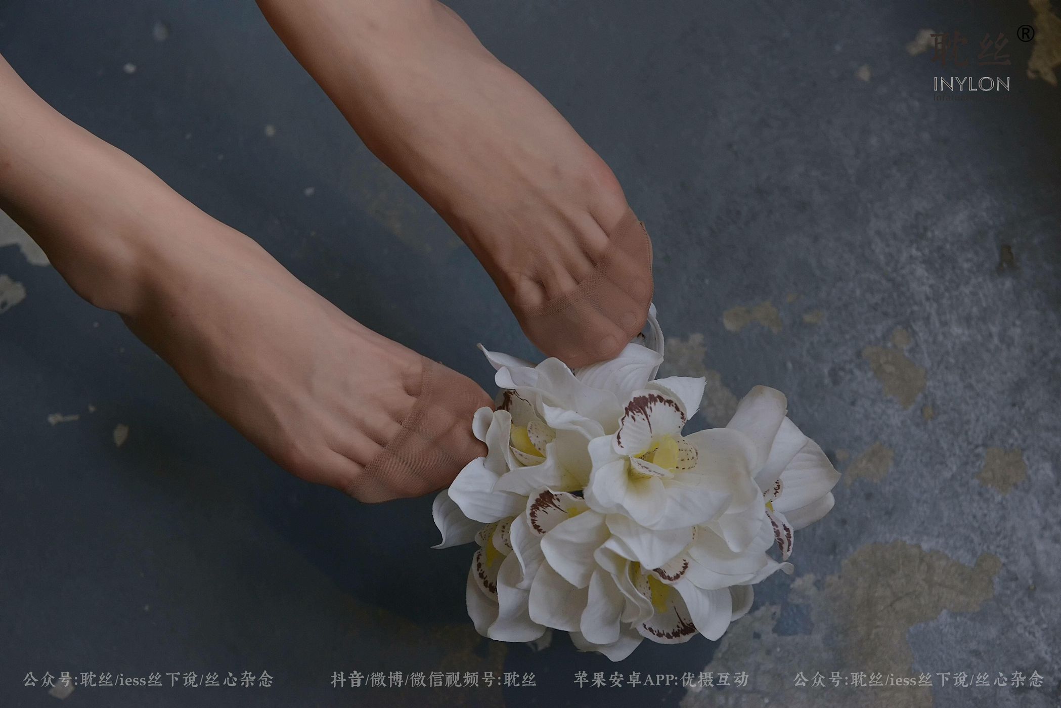 图片[90]-[IESS异思趣向] 耽丝 优雅的本色 [97P] – 速更版-美库