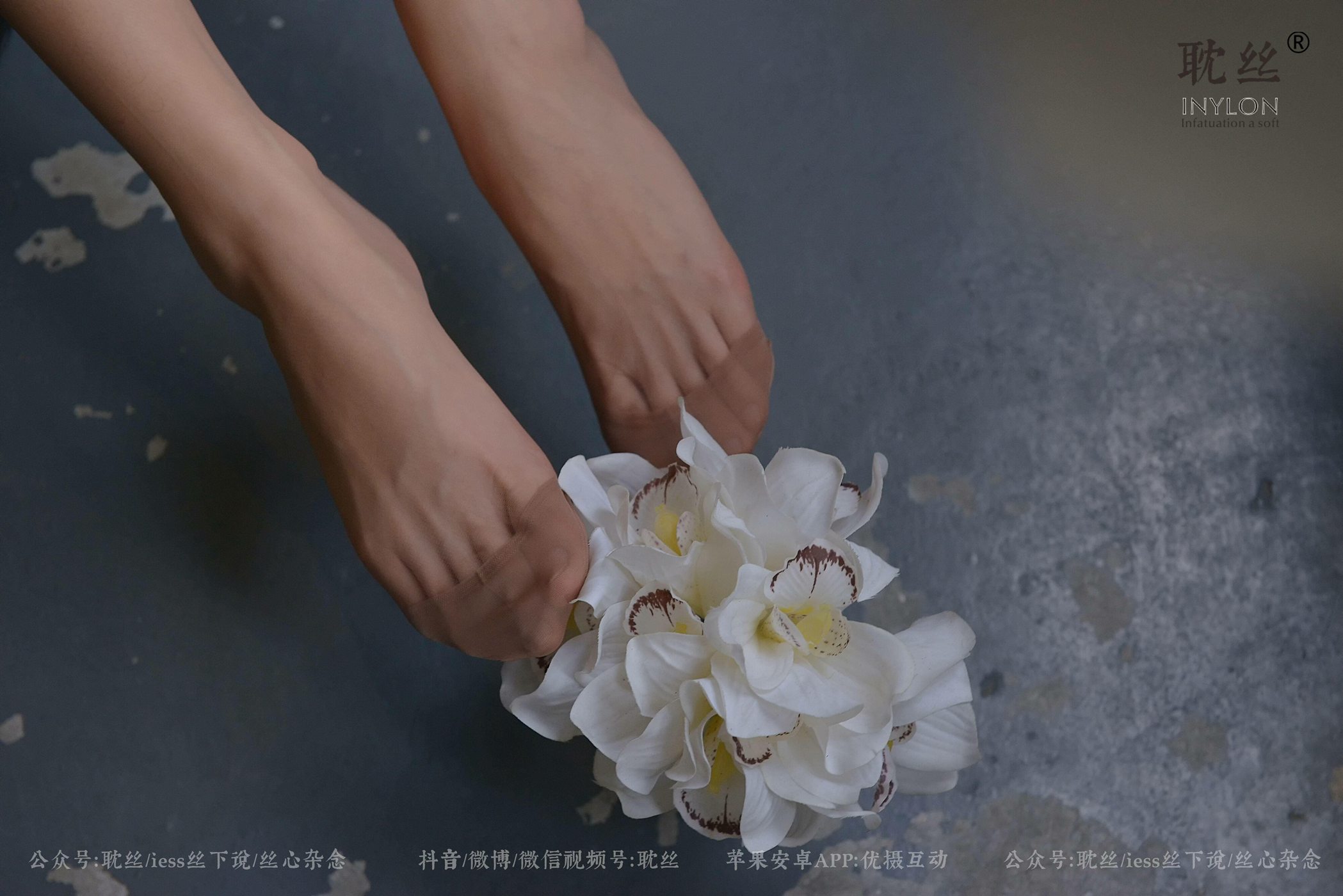 图片[91]-[IESS异思趣向] 耽丝 优雅的本色 [97P] – 速更版-美库