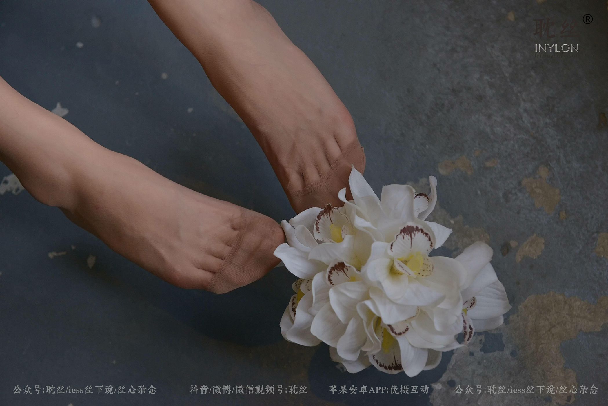 图片[92]-[IESS异思趣向] 耽丝 优雅的本色 [97P] – 速更版-美库