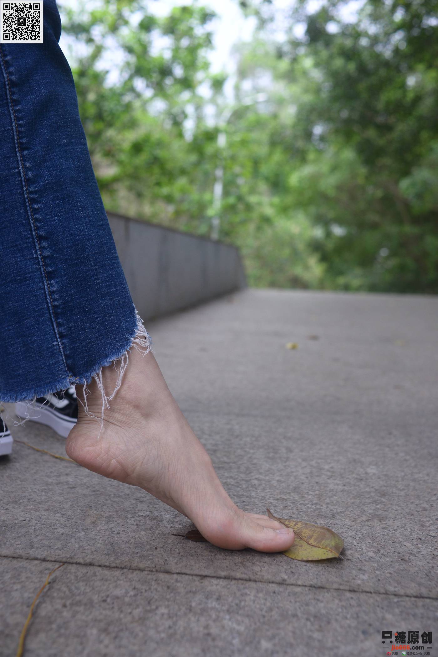 图片[129]-[只糖棉袜]NO.245 杏子 夜雨初停的早晨[155P] – 速更版-美库