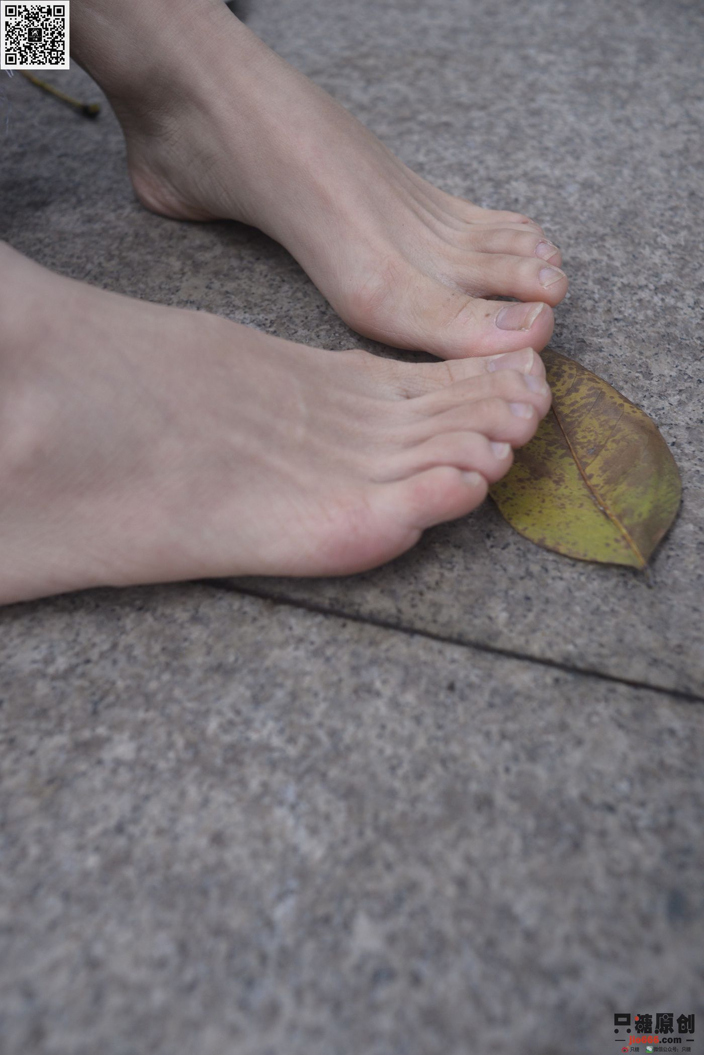 图片[136]-[只糖棉袜]NO.245 杏子 夜雨初停的早晨[155P] – 速更版-美库