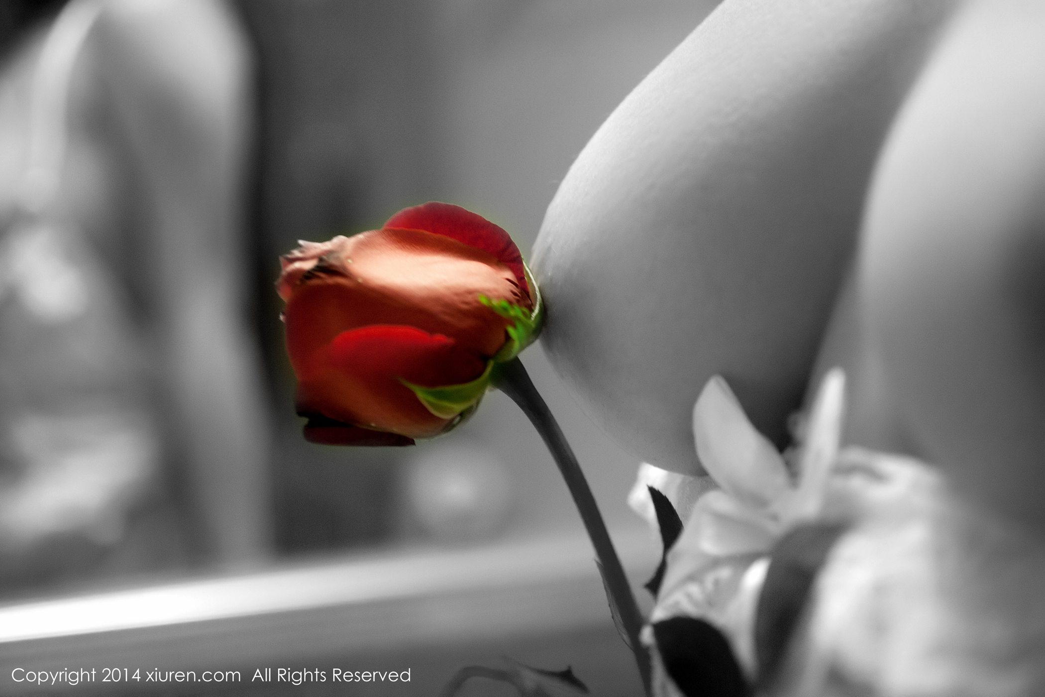 图片[62]-[Xiuren秀人网]XR20140214N00104 2014.02.14 杨依[60+1P] – 速更版-美库