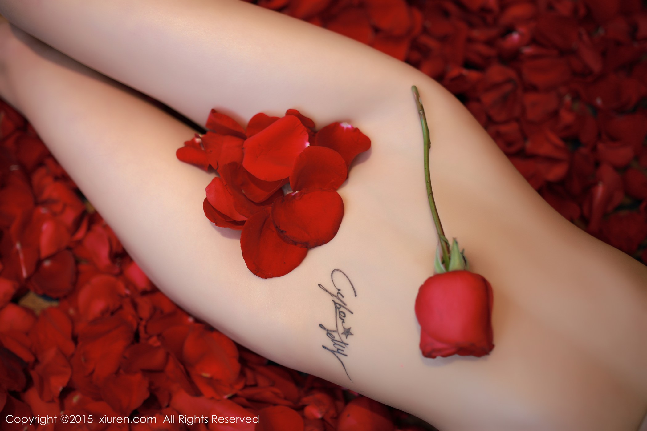 图片[38]-[Xiuren秀人网]XR20150109N00276 2015.01.09 CyberJelly霜爷[63+1P] – 速更版-美库