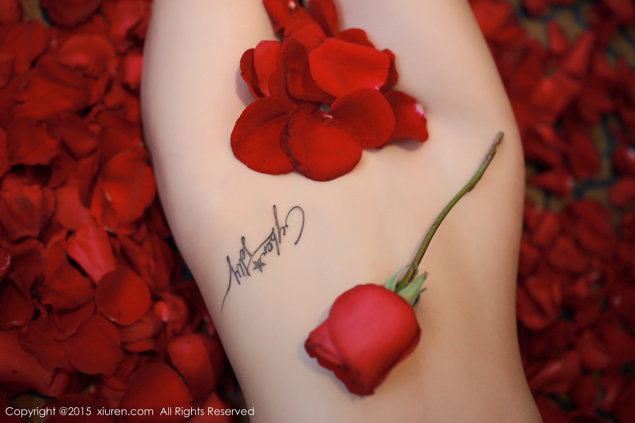 图片[39]-[Xiuren秀人网]XR20150109N00276 2015.01.09 CyberJelly霜爷[63+1P] – 速更版-美库