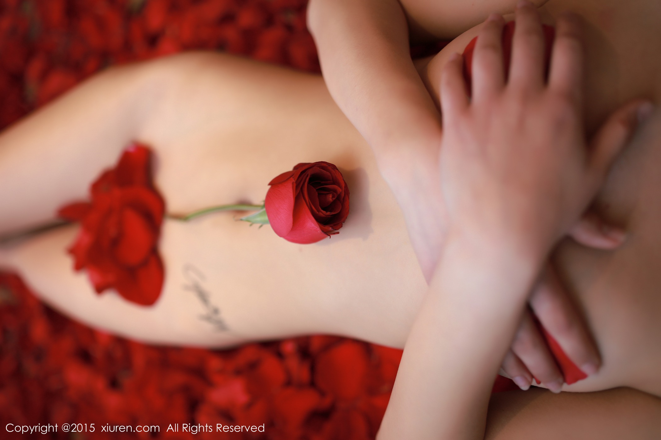 图片[40]-[Xiuren秀人网]XR20150109N00276 2015.01.09 CyberJelly霜爷[63+1P] – 速更版-美库