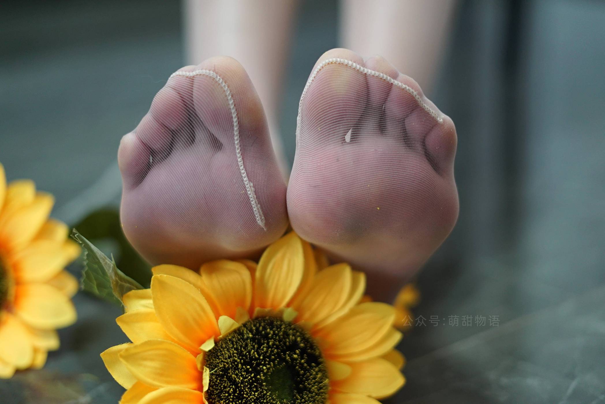 图片[77]-[萌甜物语]XM129《向阳花的美-紫婷》[98P] – 速更版-美库