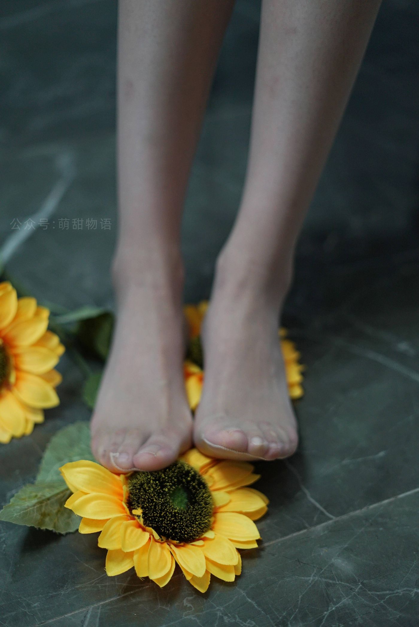 图片[81]-[萌甜物语]XM129《向阳花的美-紫婷》[98P] – 速更版-美库