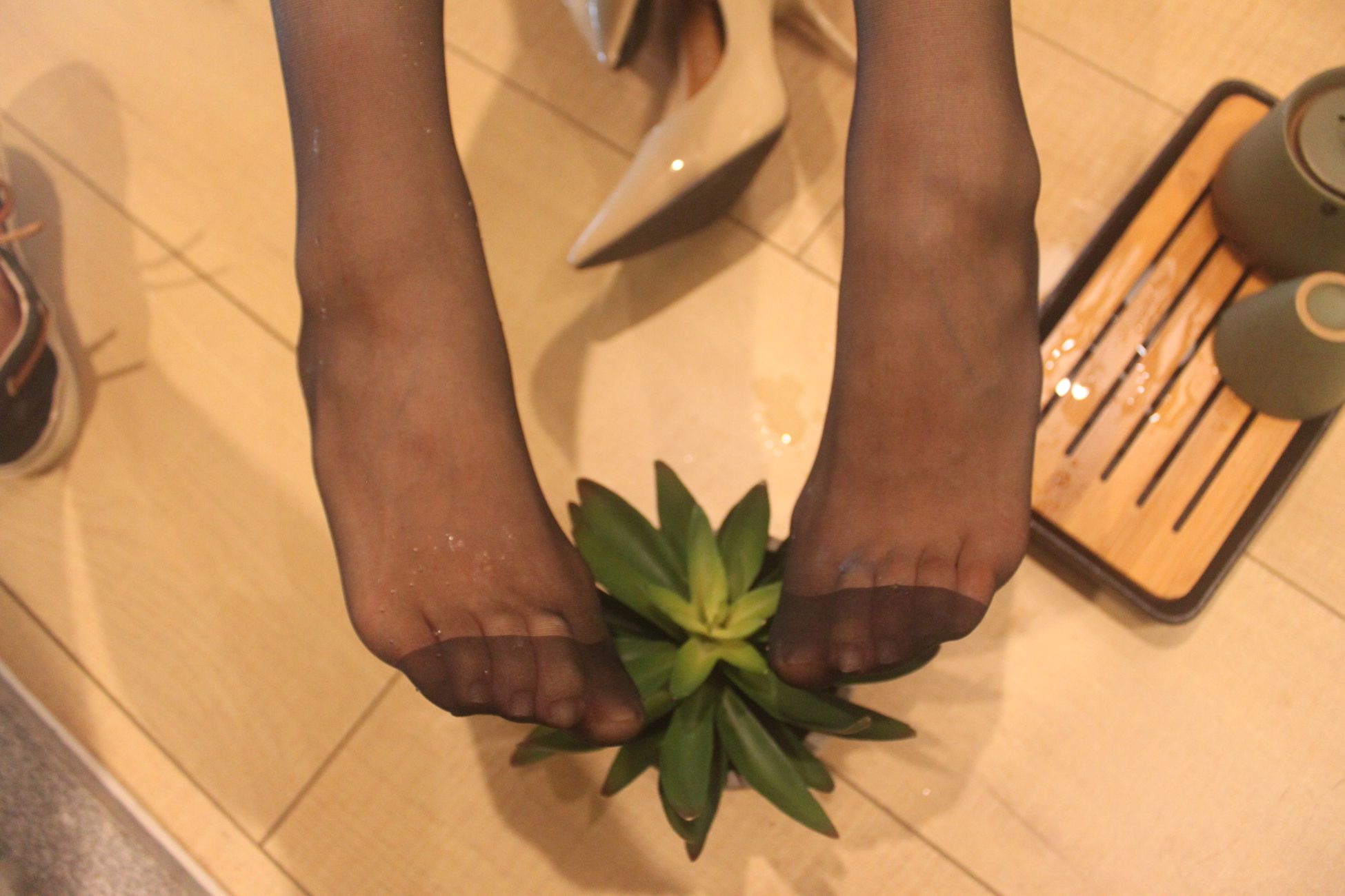 图片[29]-乔依丝joys – 茶[112P] – 速更版-美库