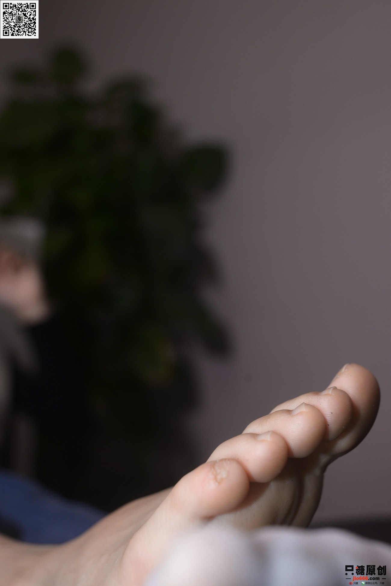 图片[132]-[只糖棉袜]NO.253 欣悦 久处仍怦然[158P] – 速更版-美库