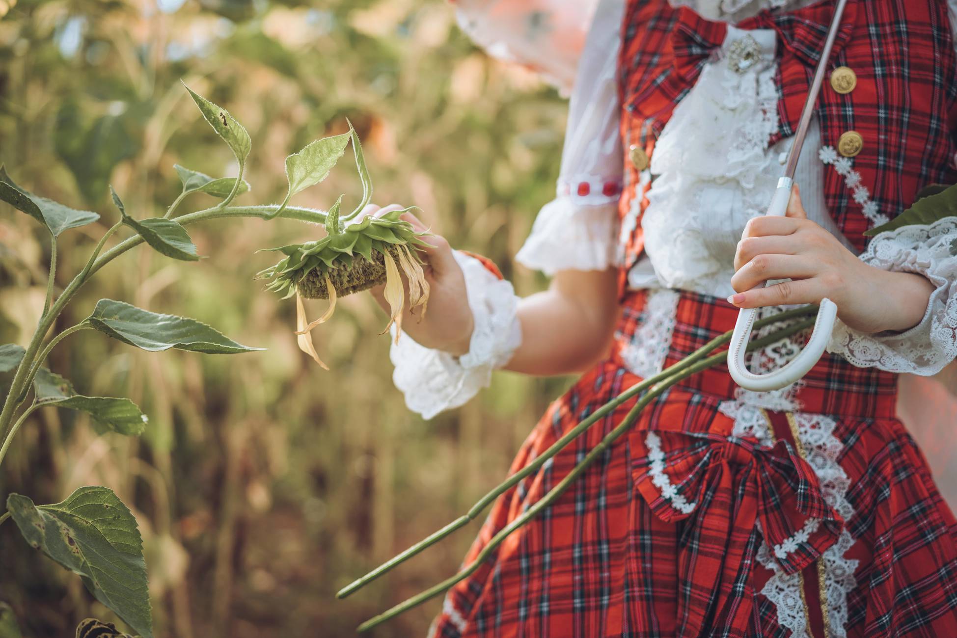 图片[10]-弥音音ww 四季のフラワーマスター [17P] – 速更版-美库