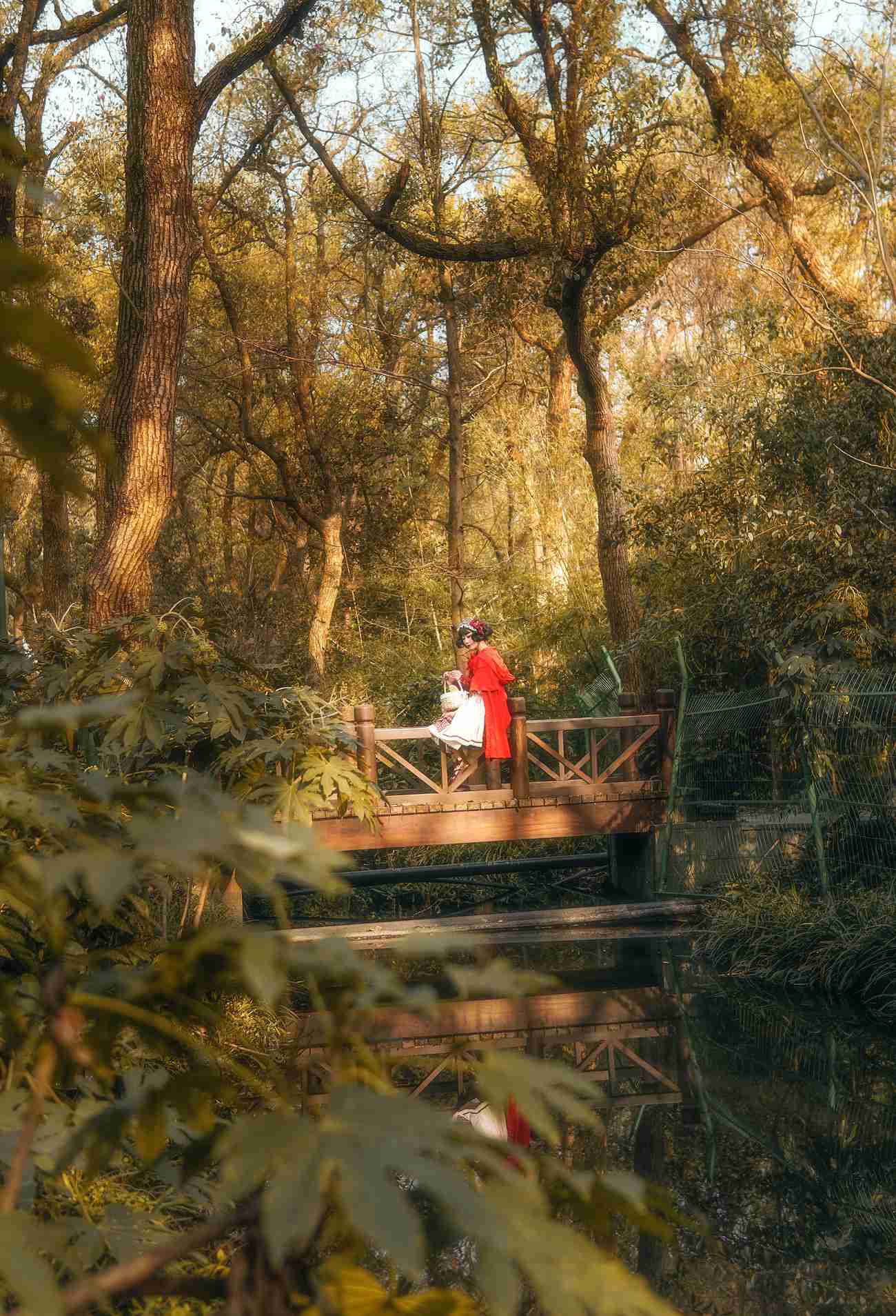 图片[16]-阿包也是兔娘 – lolita红裙2[28P] – 速更版-美库