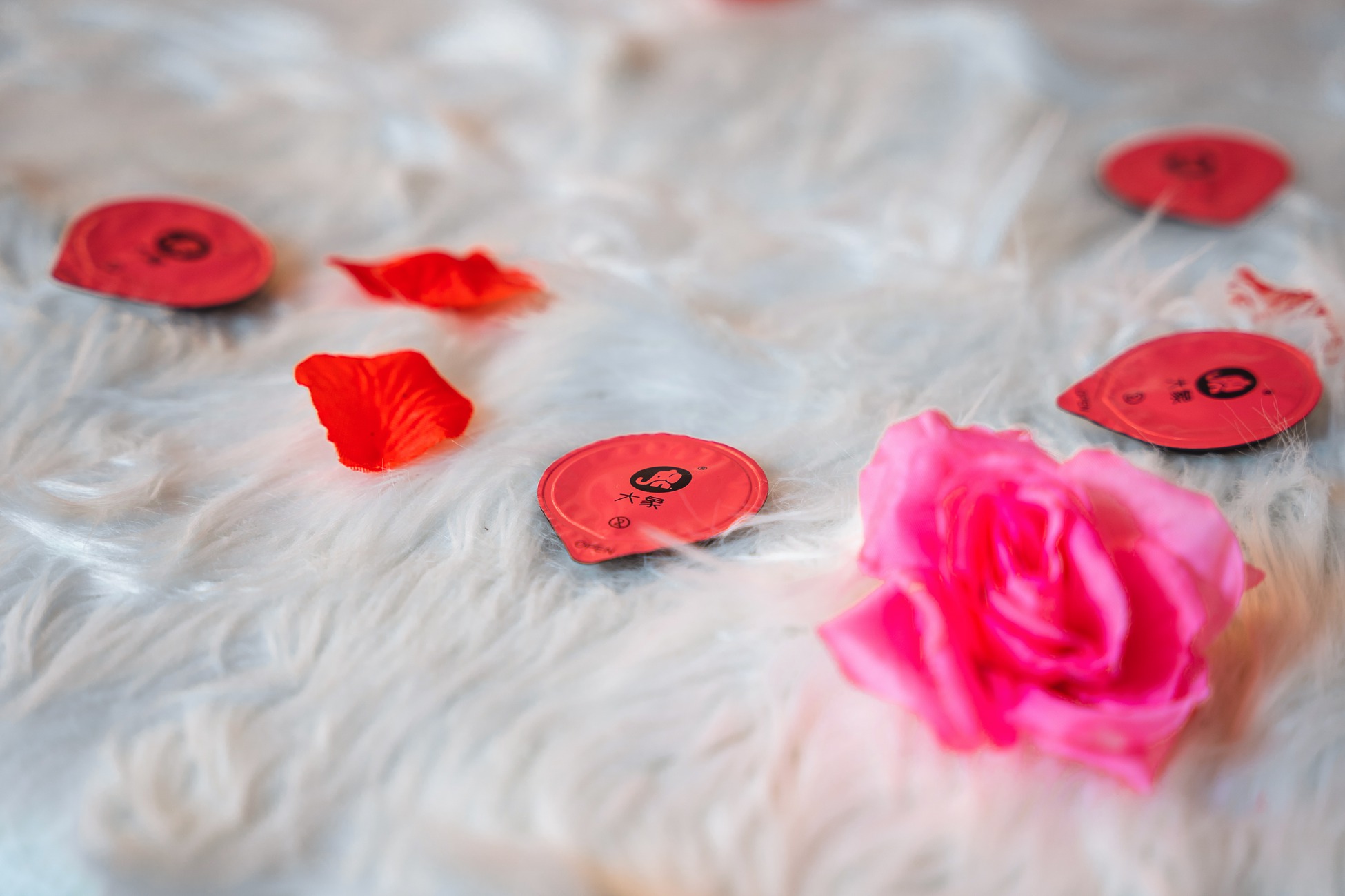 图片[12]-萌芽儿o0 – 大象代言[20P] – 速更版-美库