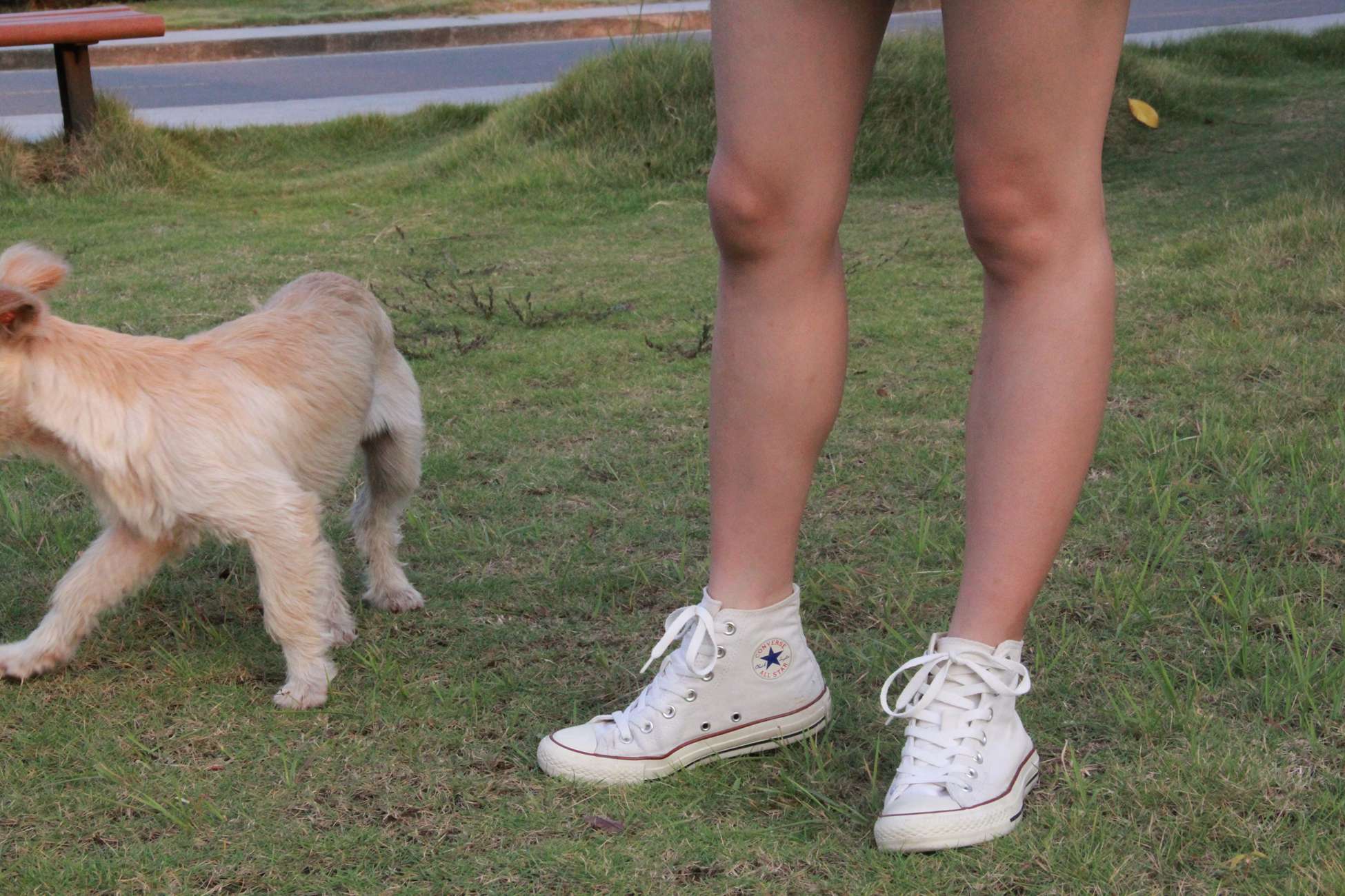 图片[135]-[最爱帆布鞋]ZAFBX-019[204P] – 速更版-美库