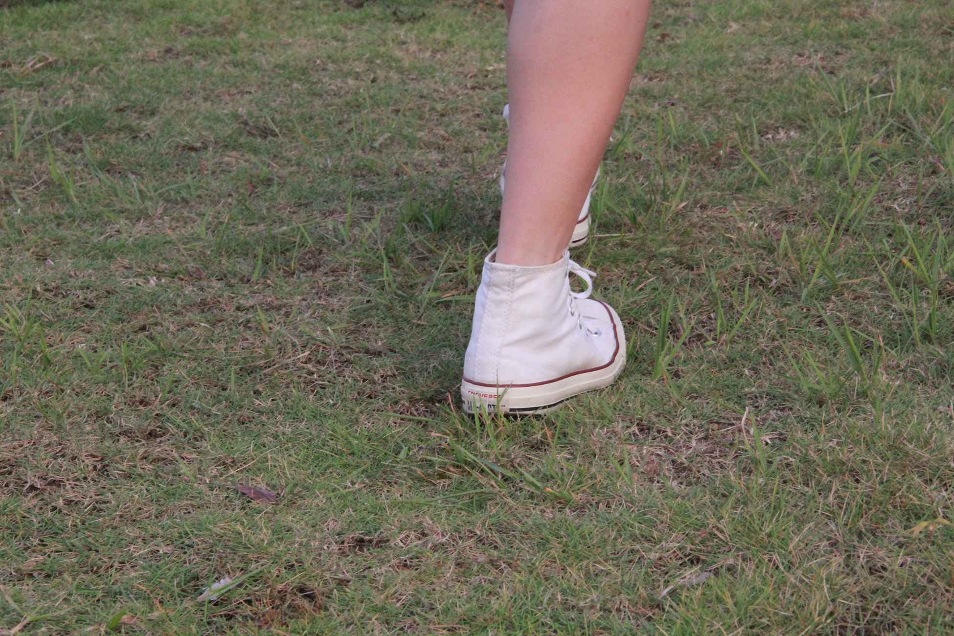 图片[136]-[最爱帆布鞋]ZAFBX-019[204P] – 速更版-美库