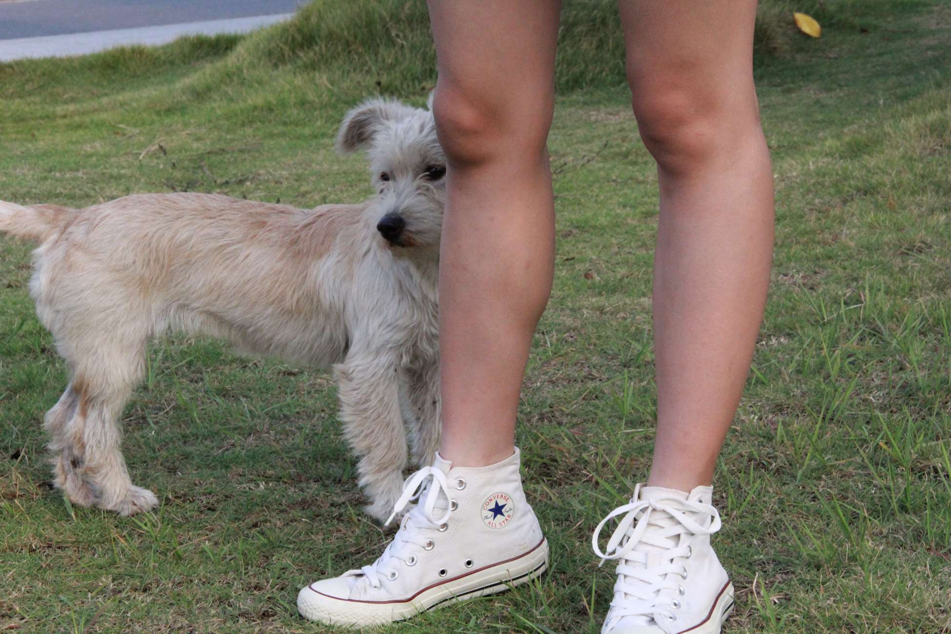 图片[137]-[最爱帆布鞋]ZAFBX-019[204P] – 速更版-美库