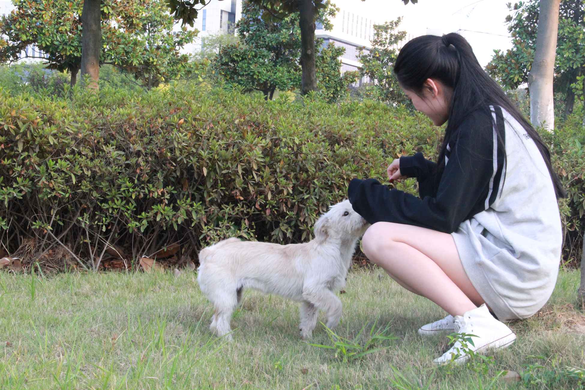 图片[147]-[最爱帆布鞋]ZAFBX-019[204P] – 速更版-美库