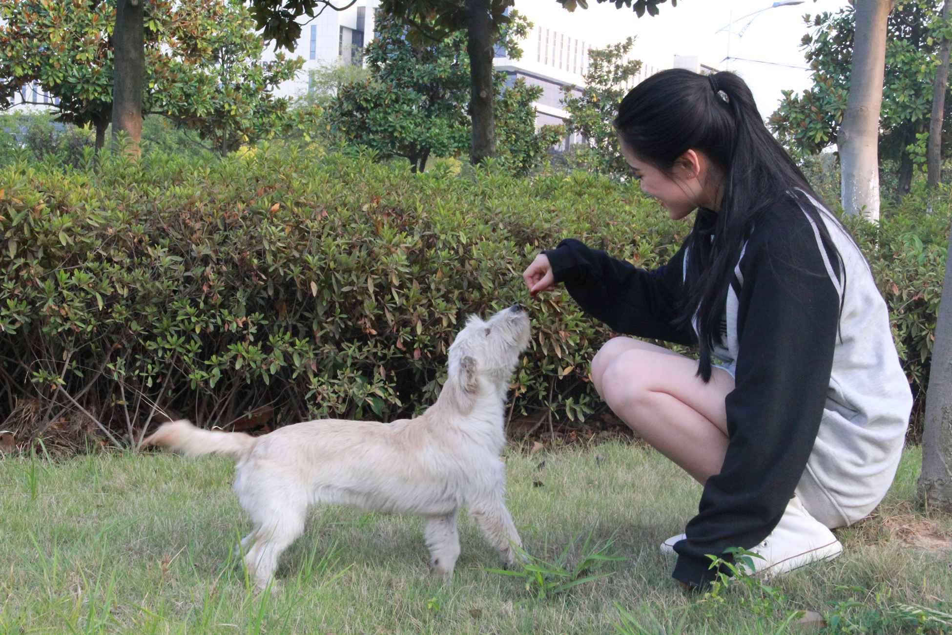 图片[148]-[最爱帆布鞋]ZAFBX-019[204P] – 速更版-美库