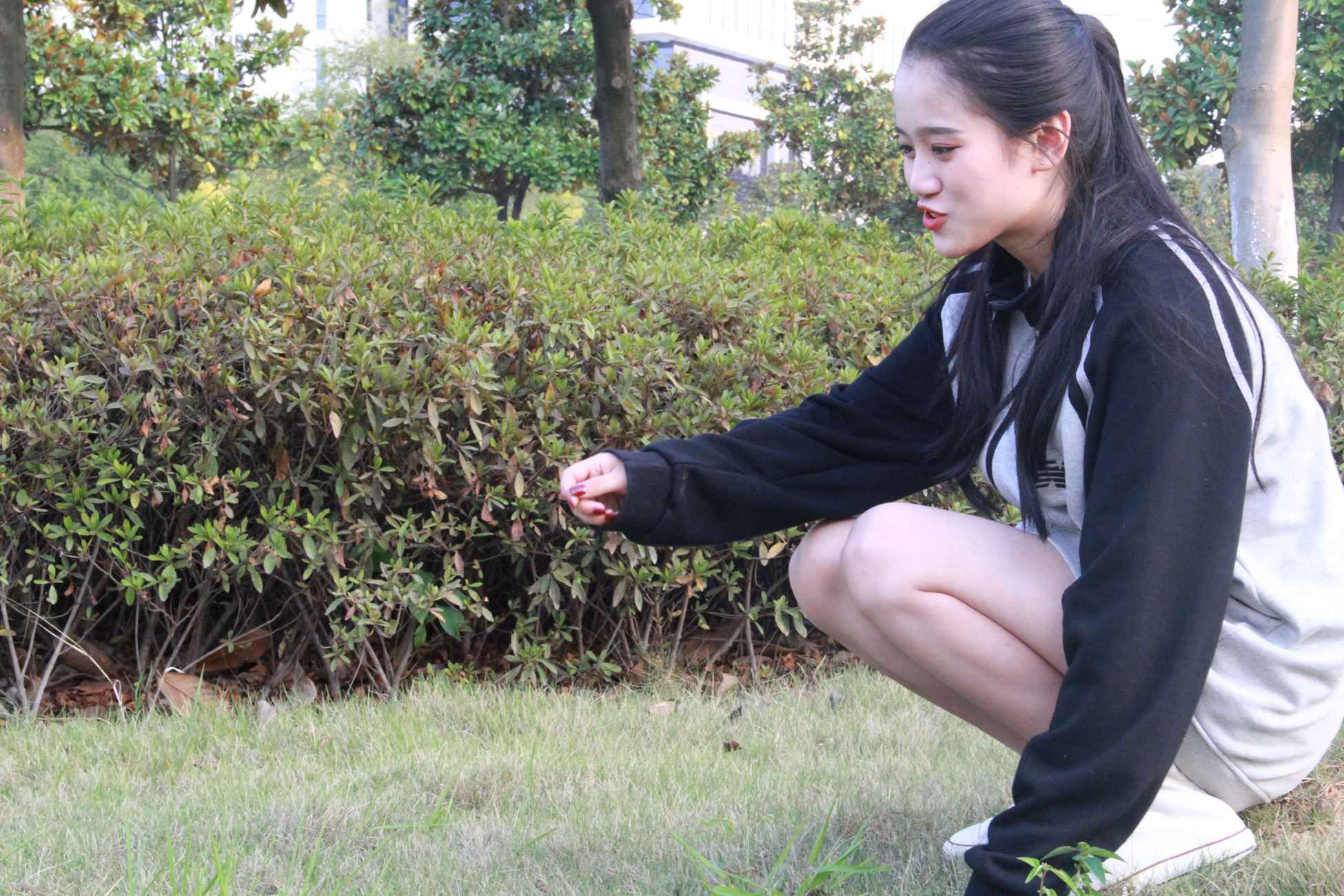 图片[149]-[最爱帆布鞋]ZAFBX-019[204P] – 速更版-美库