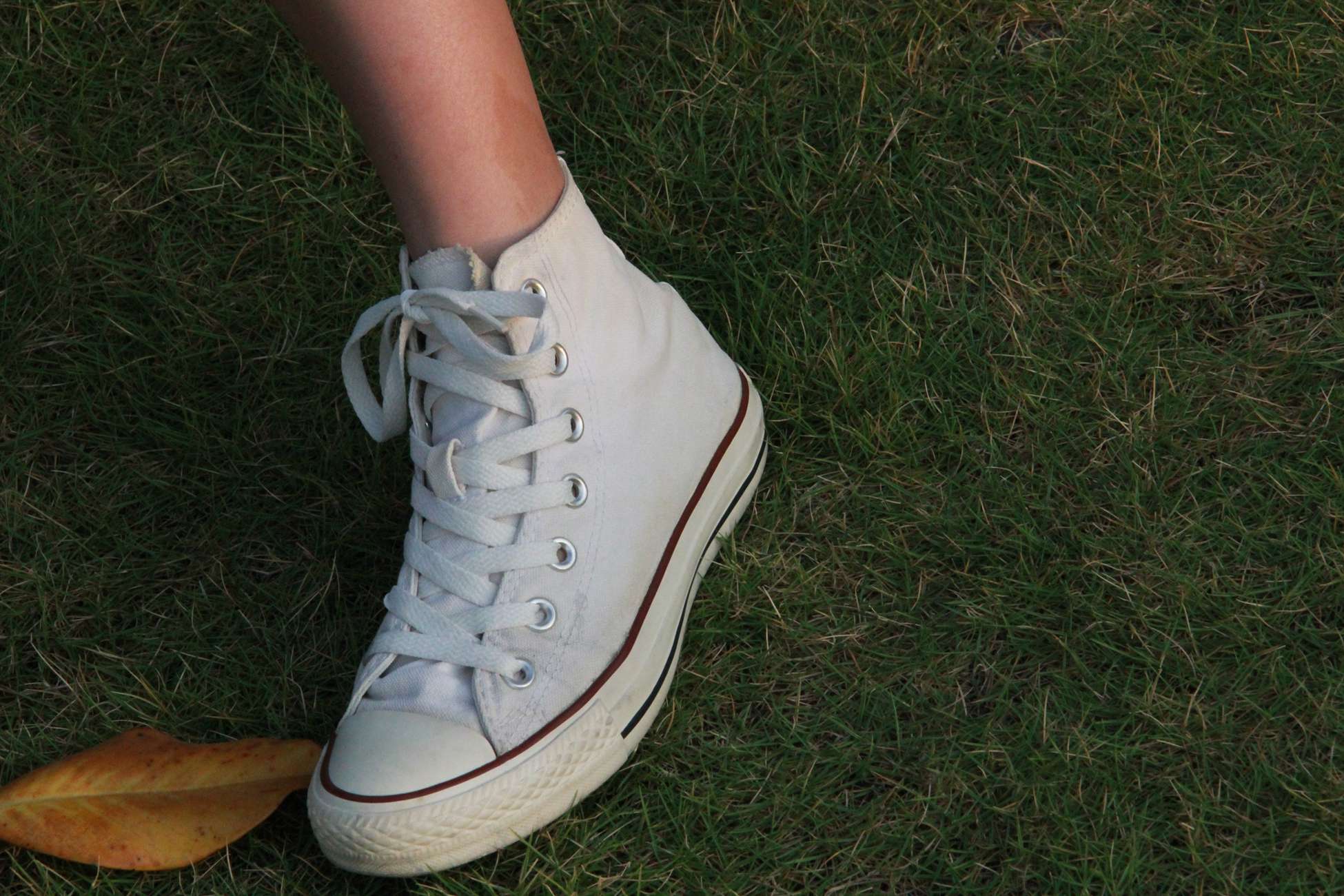 图片[170]-[最爱帆布鞋]ZAFBX-019[204P] – 速更版-美库