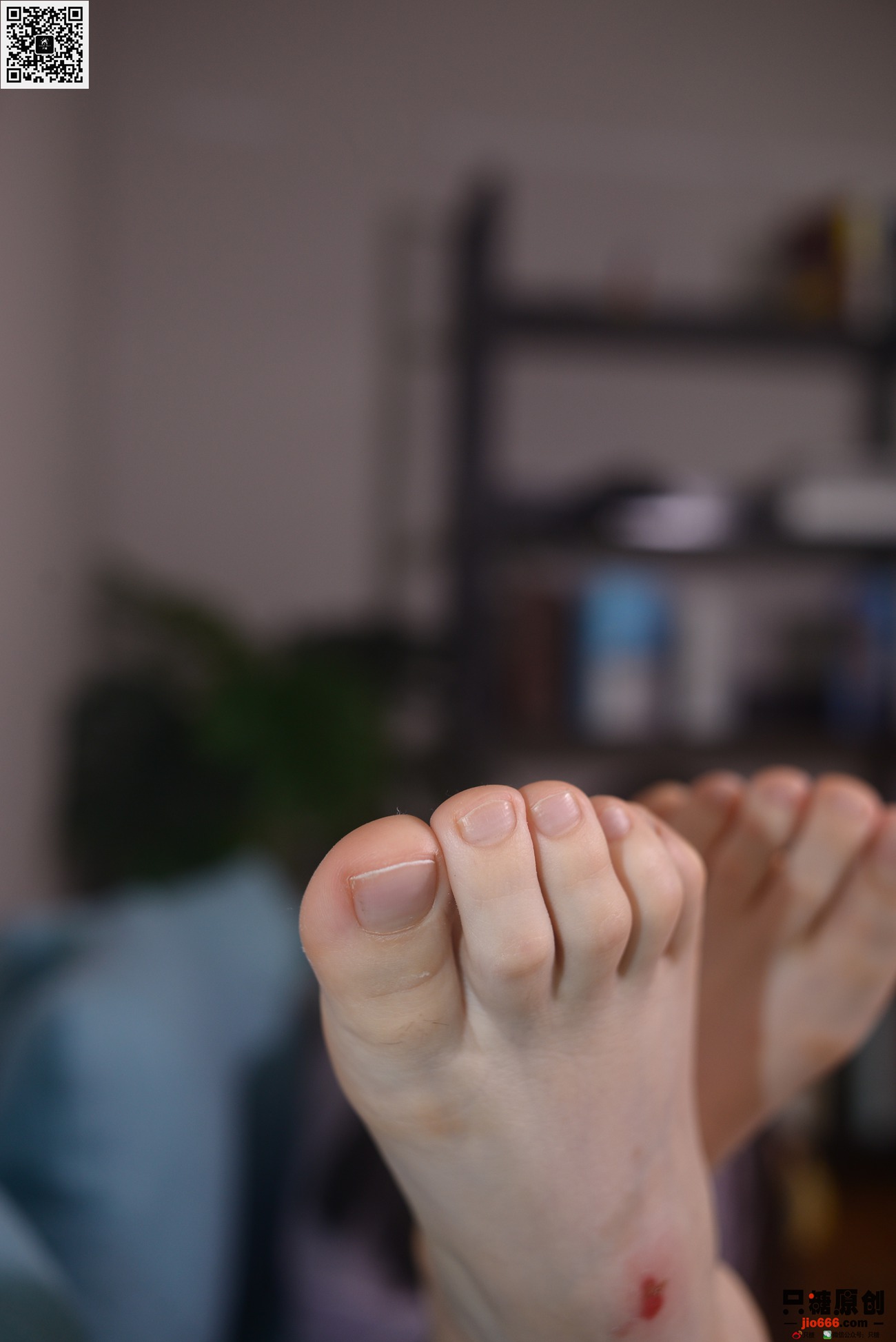 图片[107]-[只糖棉袜]NO.288 婧琪 鹿踏雾而来[153P] – 速更版-美库