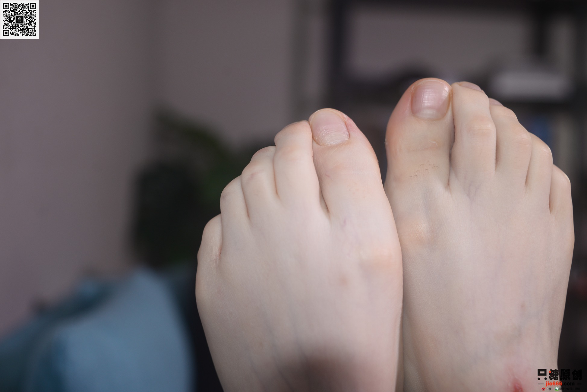 图片[116]-[只糖棉袜]NO.288 婧琪 鹿踏雾而来[153P] – 速更版-美库