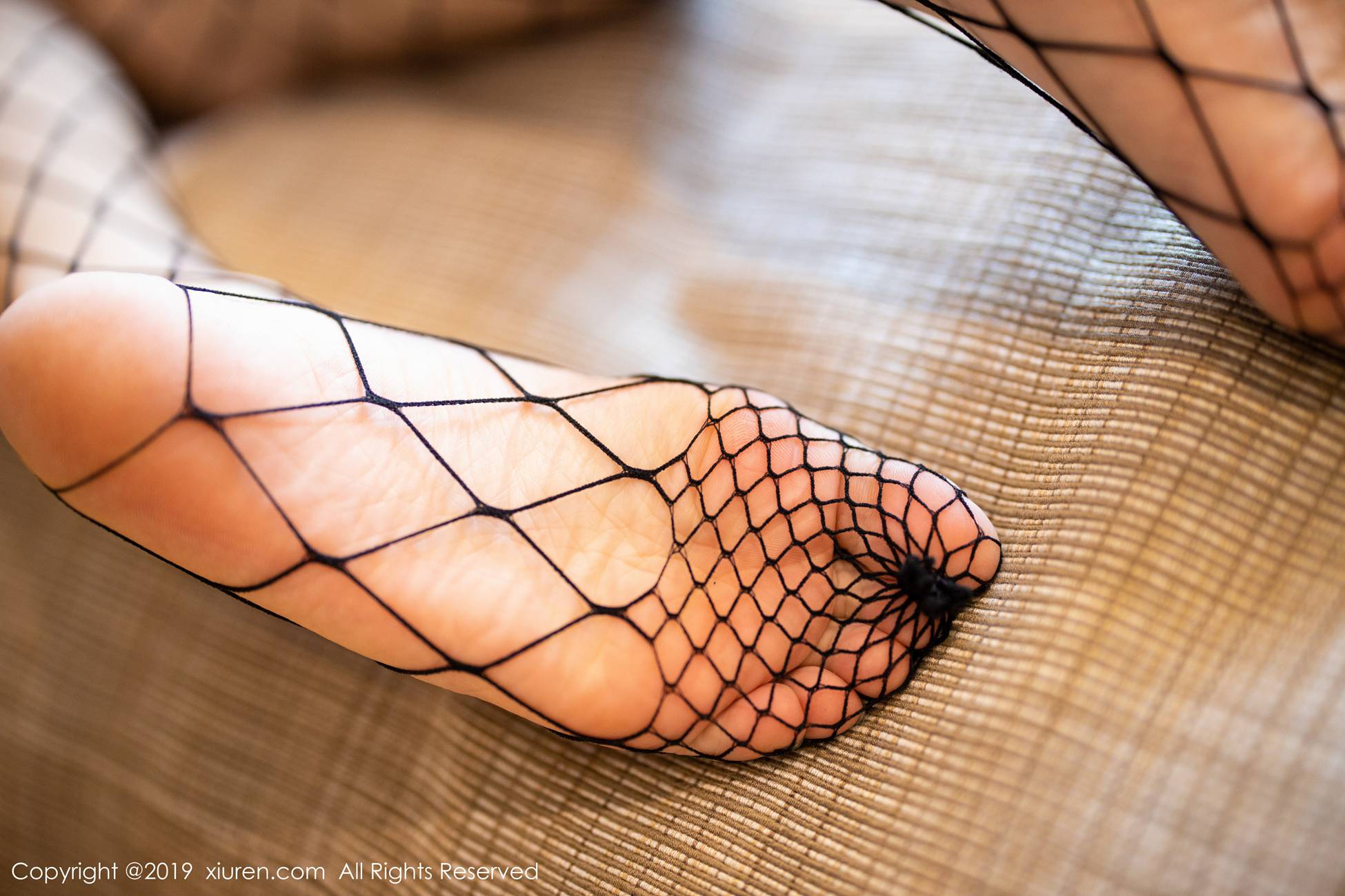 图片[33]-[Xiuren秀人网]XR20191022N01746 2019.10.22 NO.1746 质感极致到销魂的网袜美腿翘臀诱惑 杨晨晨sugar[96+1P] – 速更版-美库