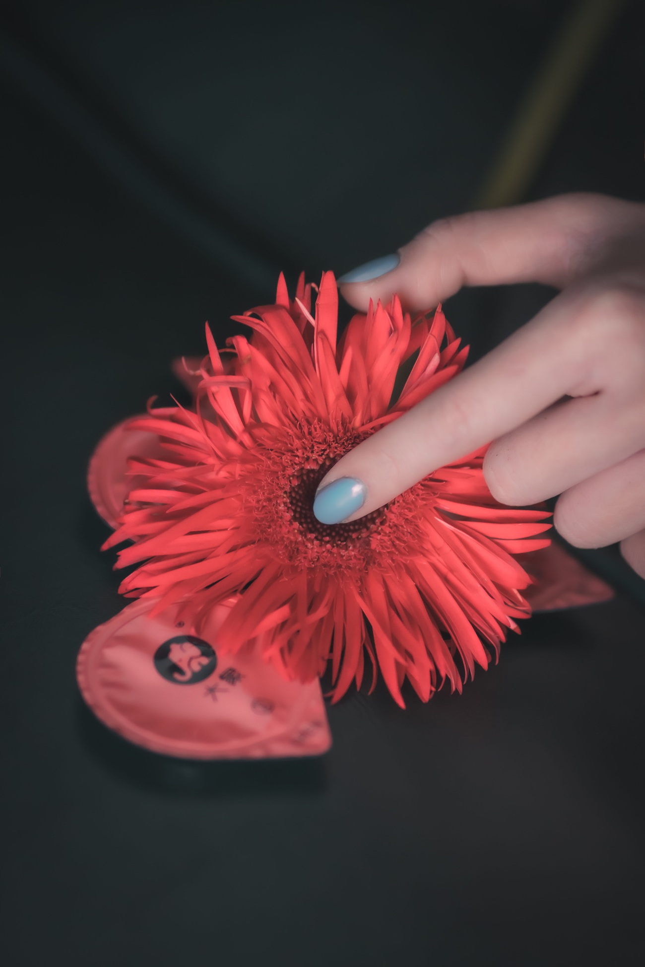 图片[19]-星野咪兔 – 花吃了那女孩[20P] – 速更版-美库