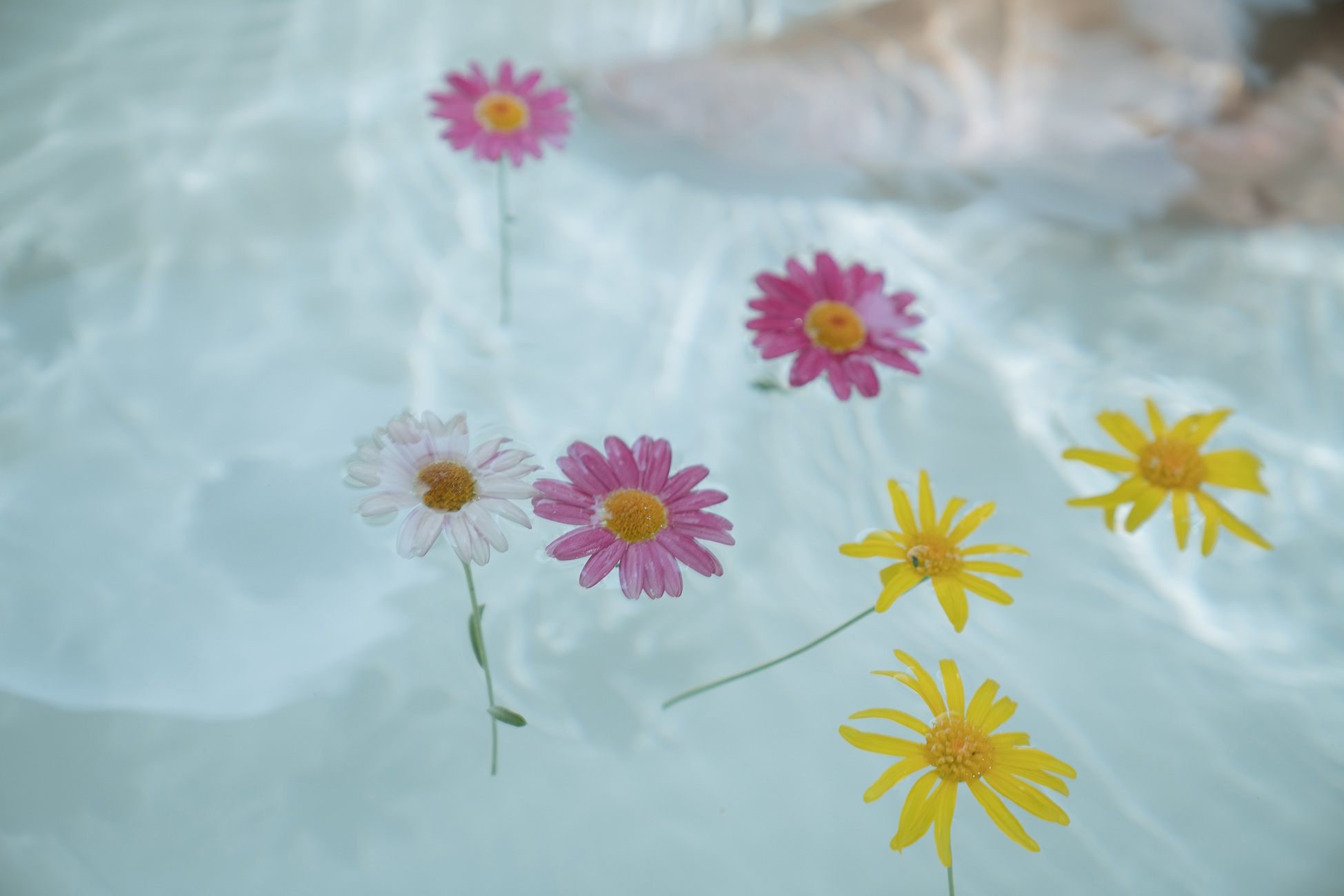 图片[32]-萌芽儿o0 – 浴缸[72P] – 速更版-美库