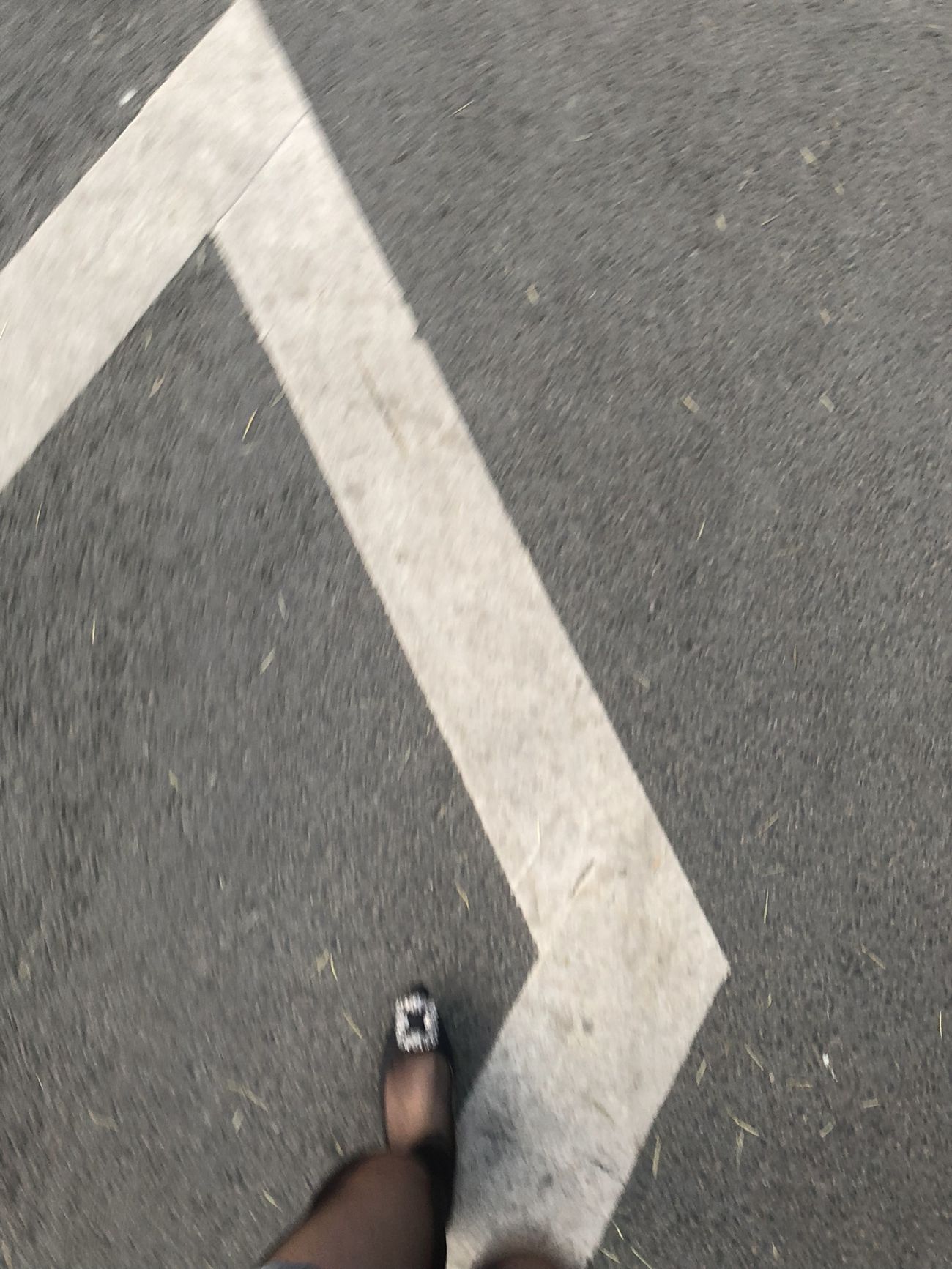 图片[177]-LICCL丽绮映像 NO.004 黑丝[243P] – 速更版-美库