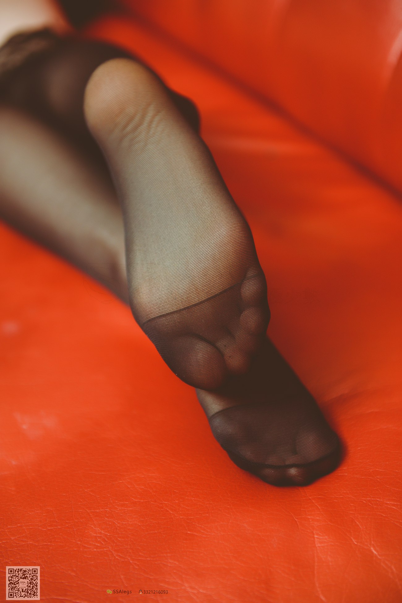 图片[93]-[SSA丝社]超清写真 NO.015 琪琪 原来她才是最吸引我的旋律[99P] – 速更版-美库