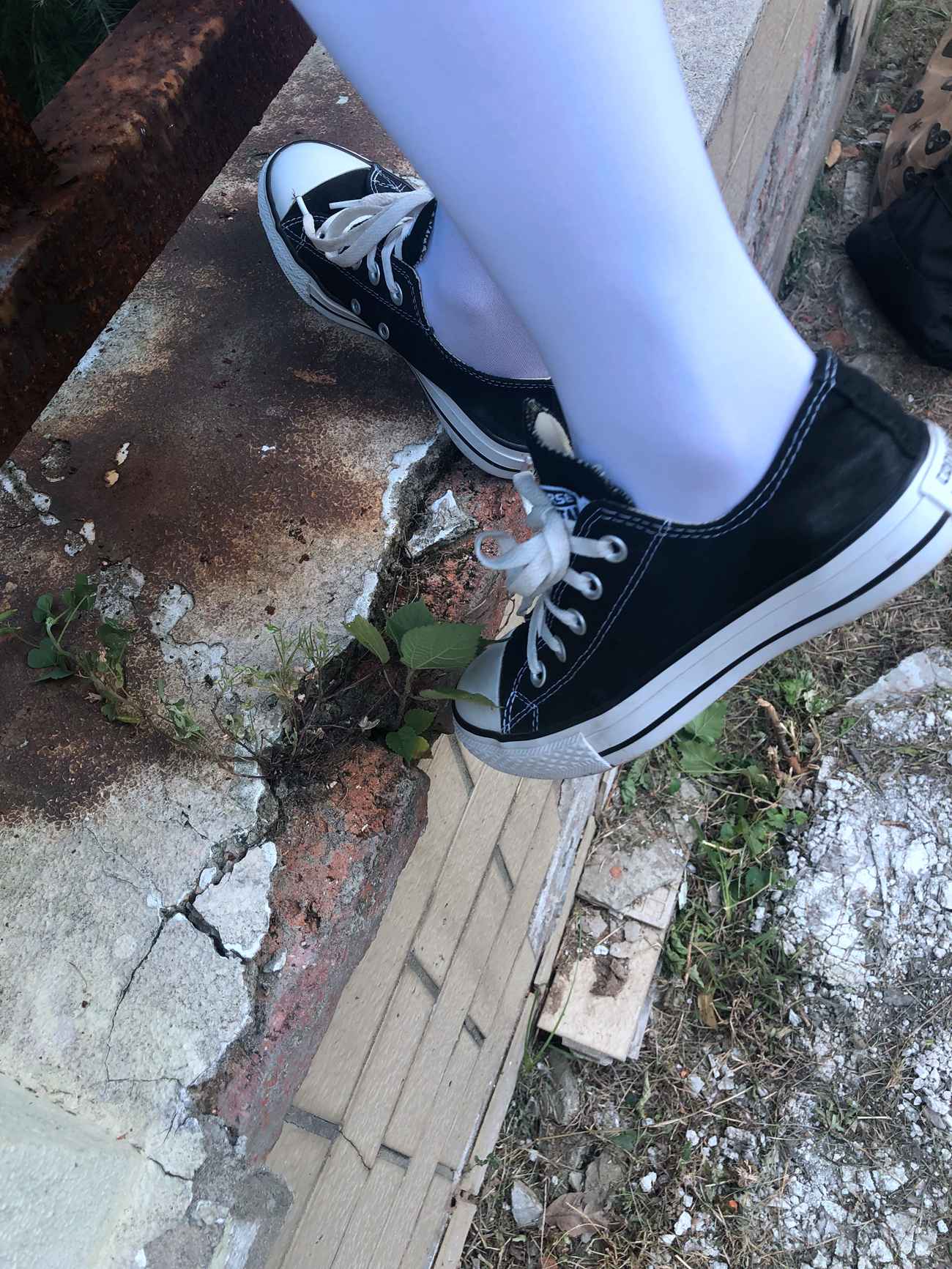 图片[383]-[最爱帆布鞋]ZAFBX-037[416P] – 速更版-美库