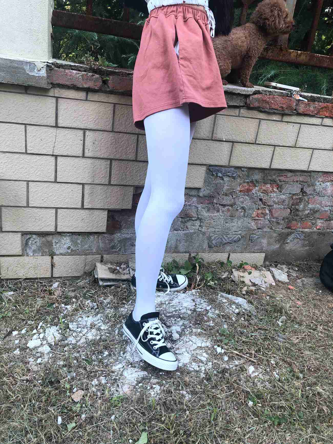 图片[403]-[最爱帆布鞋]ZAFBX-037[416P] – 速更版-美库