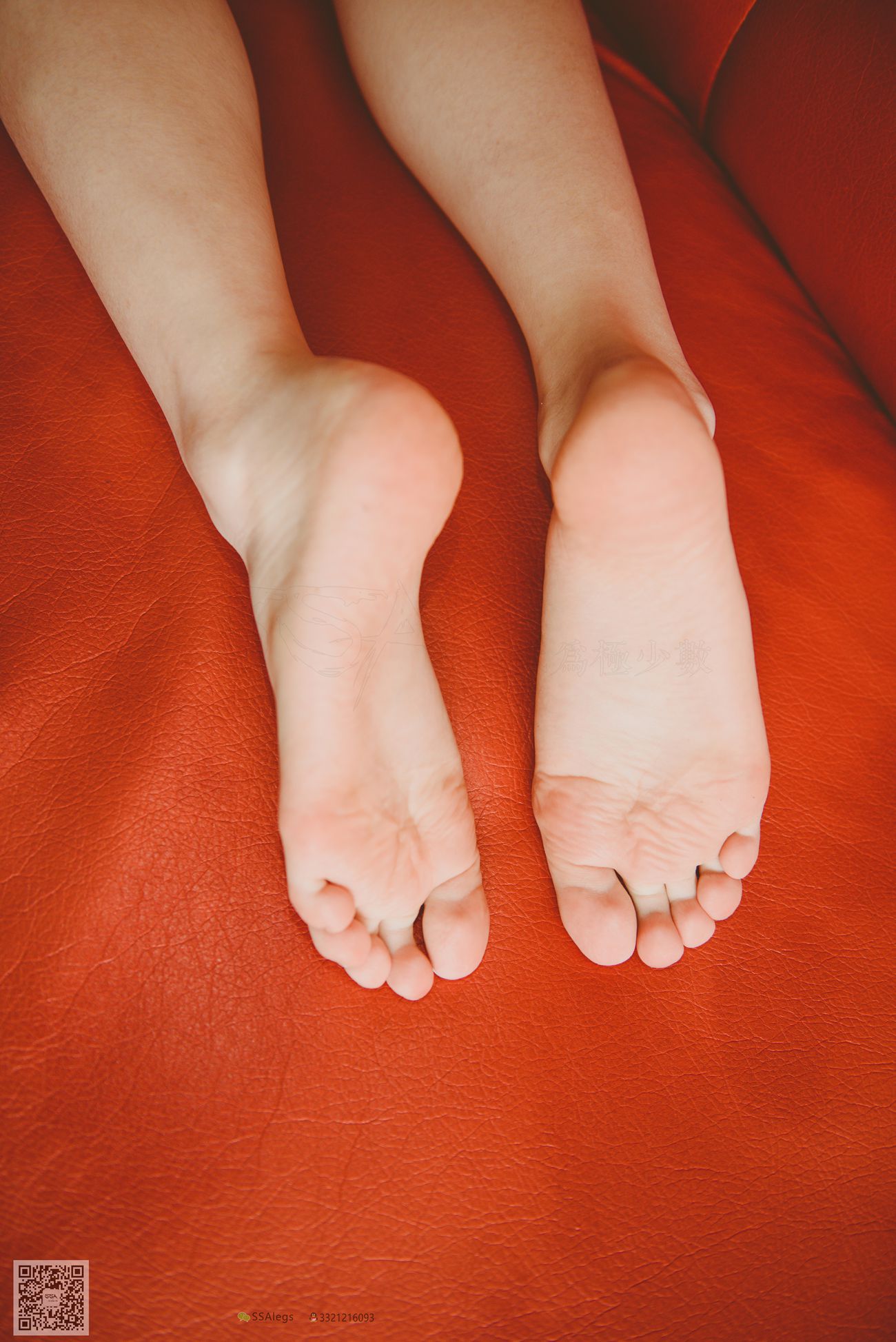 图片[89]-[SSA丝社]超清写真 NO.019 琪琪 KTV骨感网袜美女[99P] – 速更版-美库