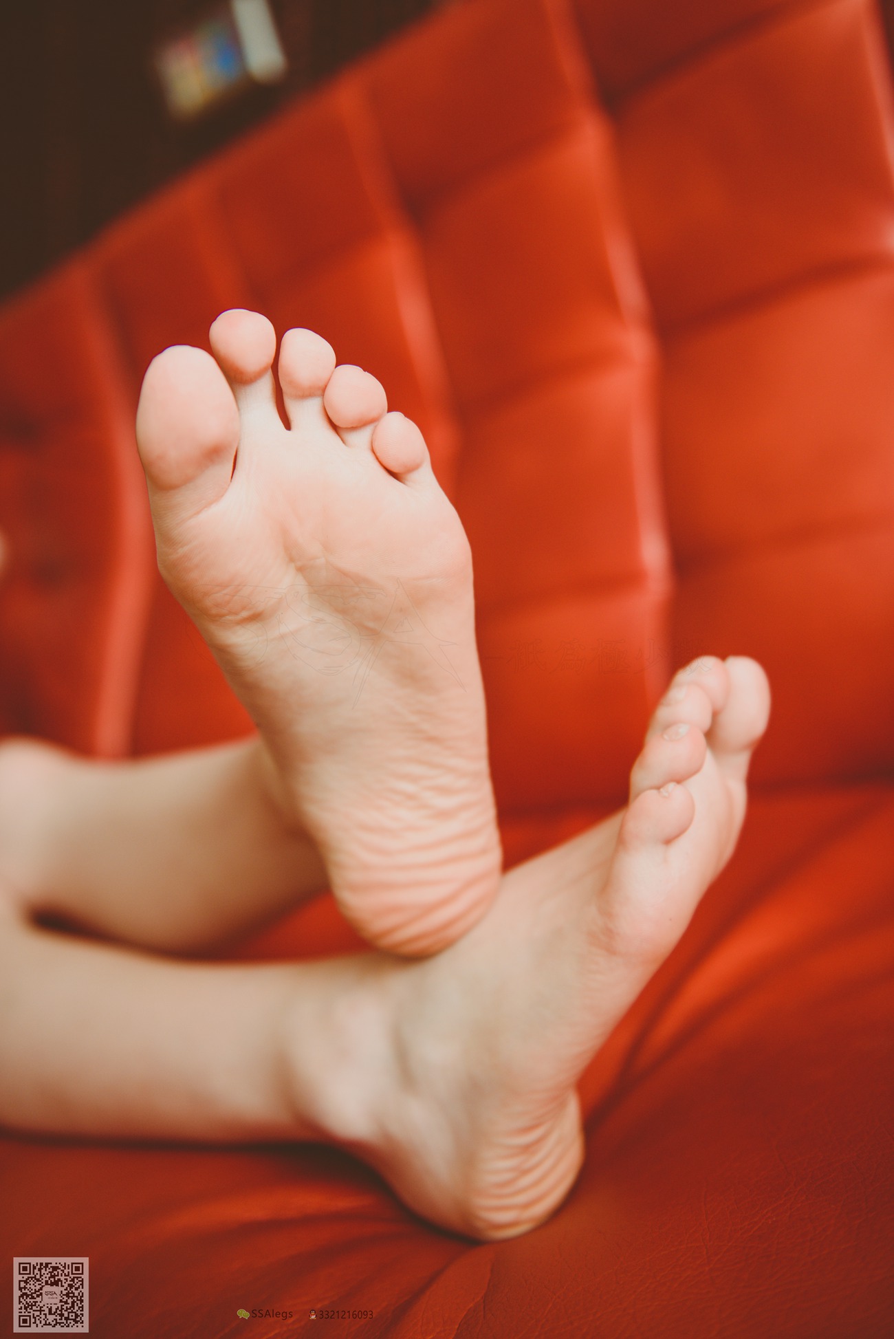 图片[90]-[SSA丝社]超清写真 NO.019 琪琪 KTV骨感网袜美女[99P] – 速更版-美库