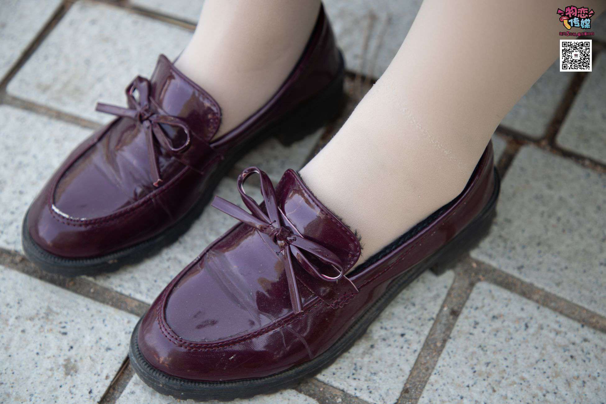 图片[161]-[物恋传媒] NO.015 书香气质女生，肉丝搭配白棉袜 [192P] – 速更版-美库