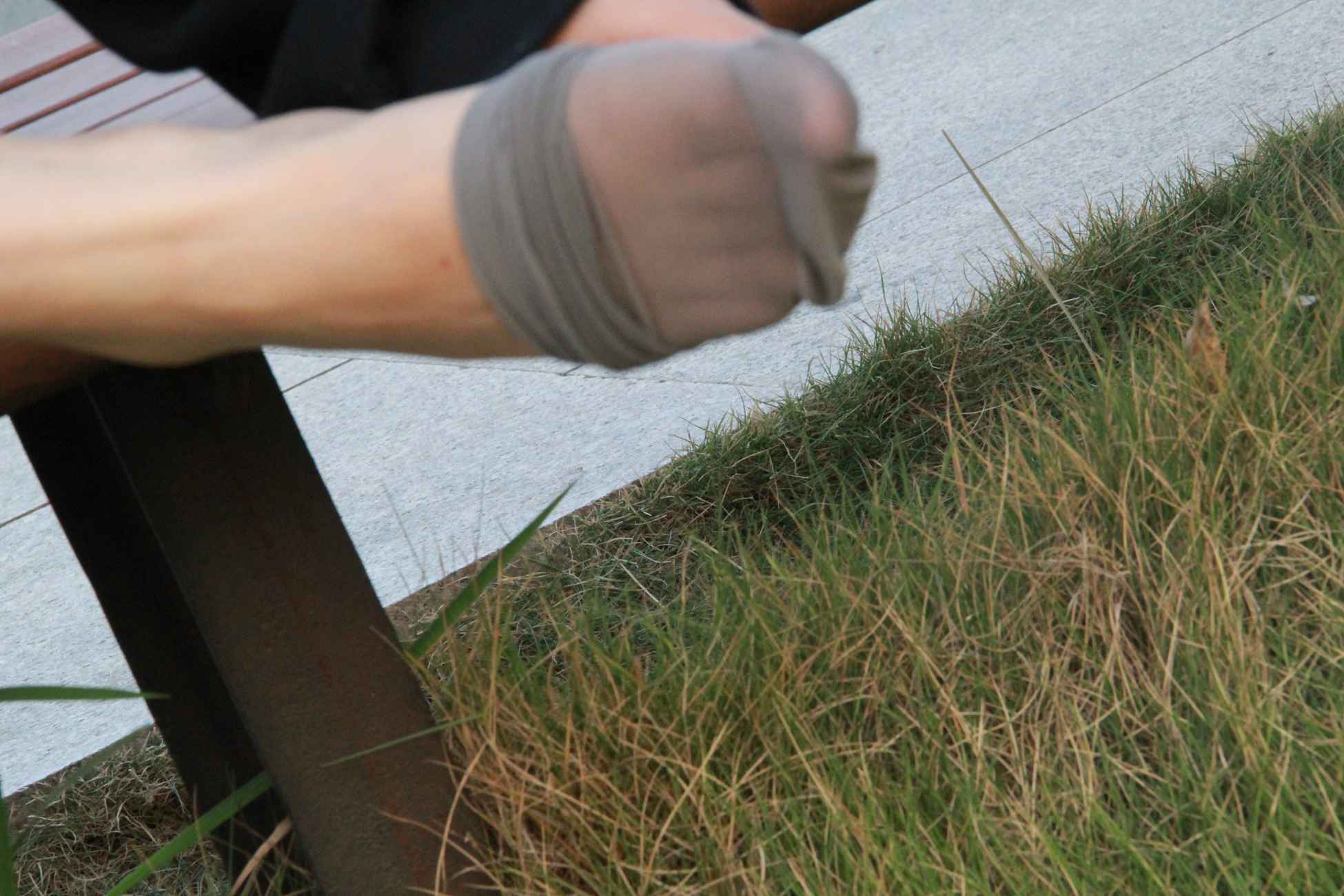 图片[286]-[最爱帆布鞋]ZAFBX-060[301P] – 速更版-美库