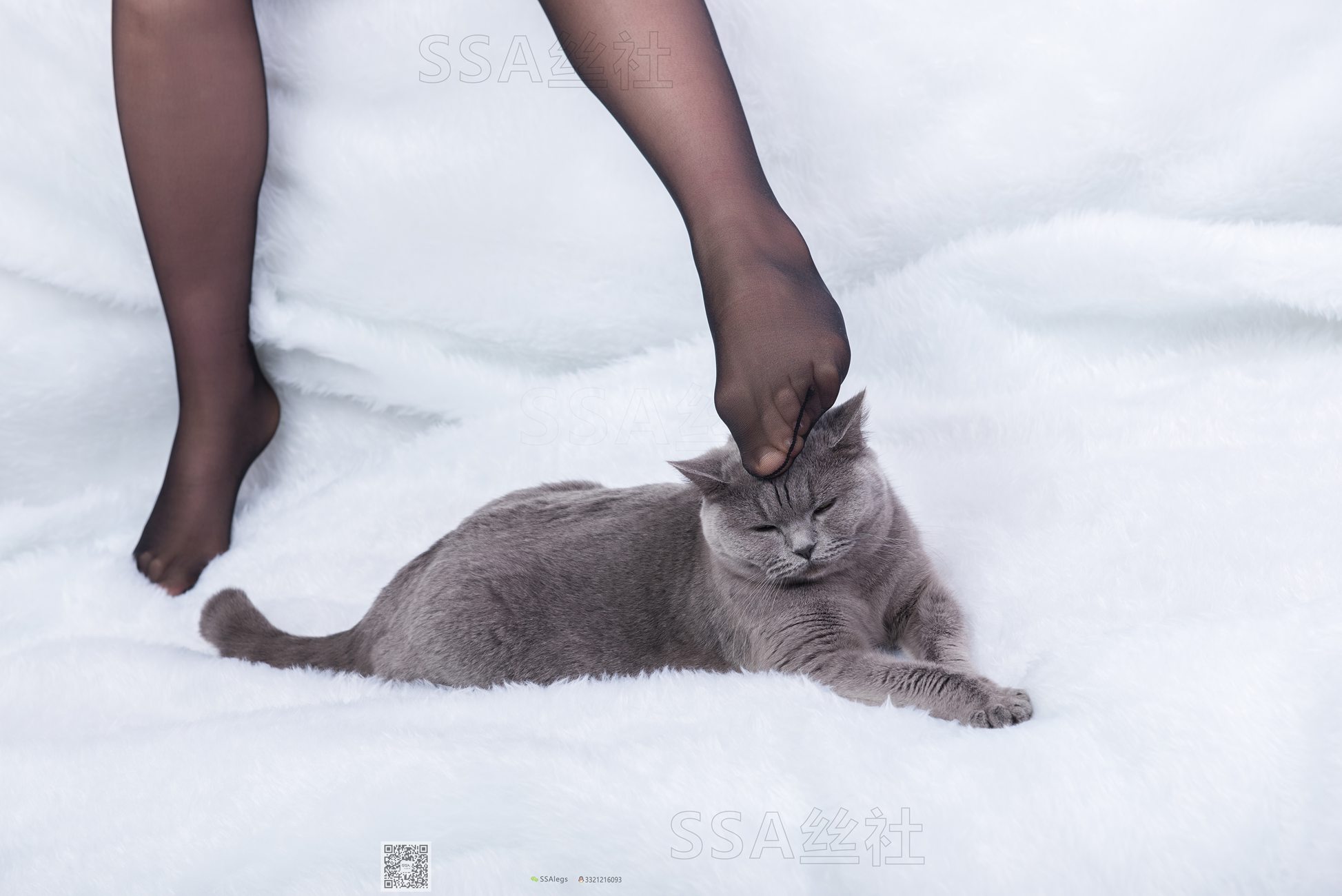 图片[107]-[SSA丝社]超清写真 NO.069 云云 复古旗袍黑丝穿搭示范[126P] – 速更版-美库